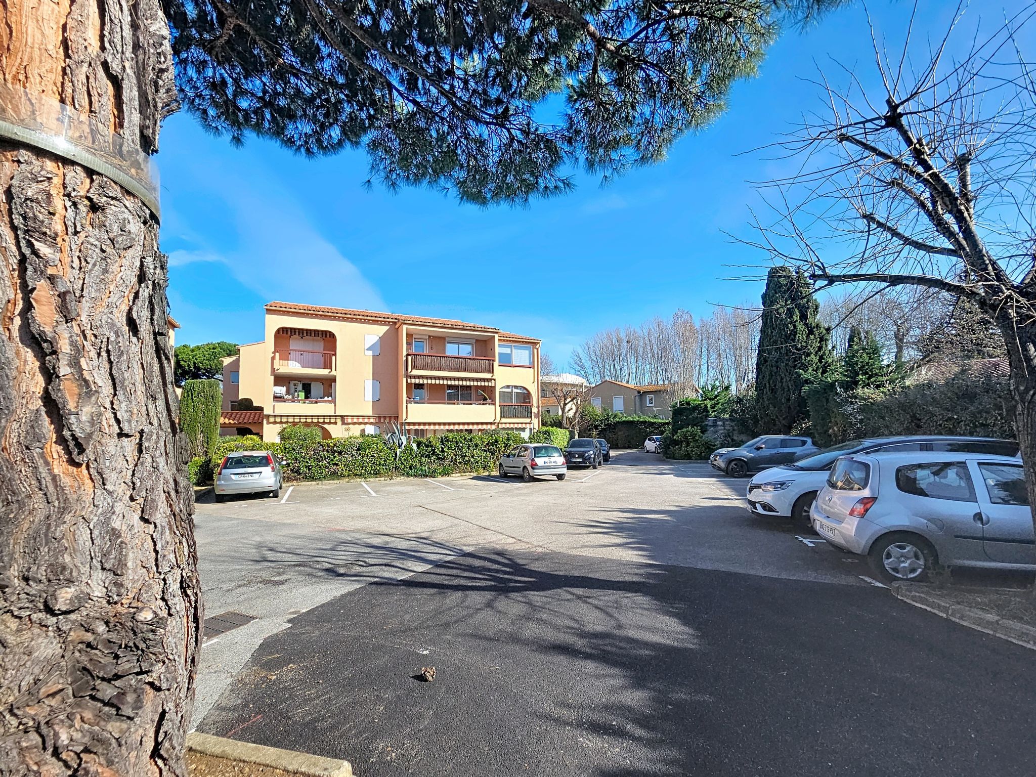 Photo of Les Flamants Roses