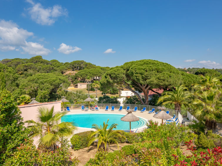 Search and Stay destination Fréjus, Provence-Alpes-Côte d'Azur - France from AU$ 228. Les Eucalyptus