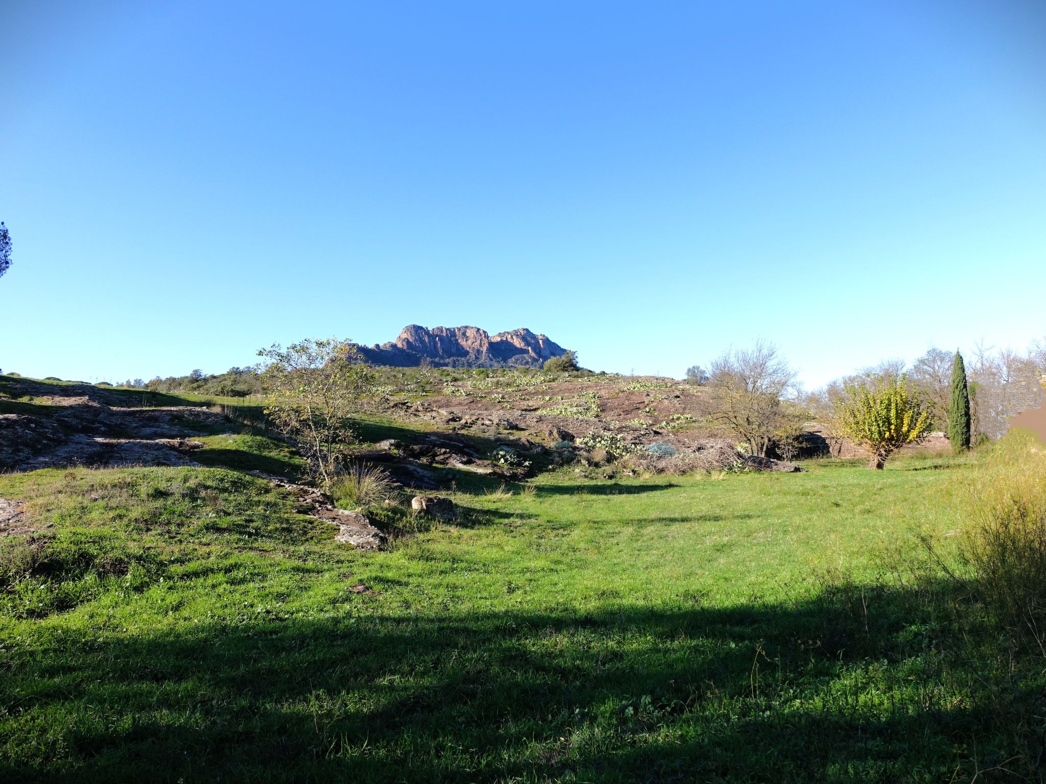 Le Green Village-Environnement