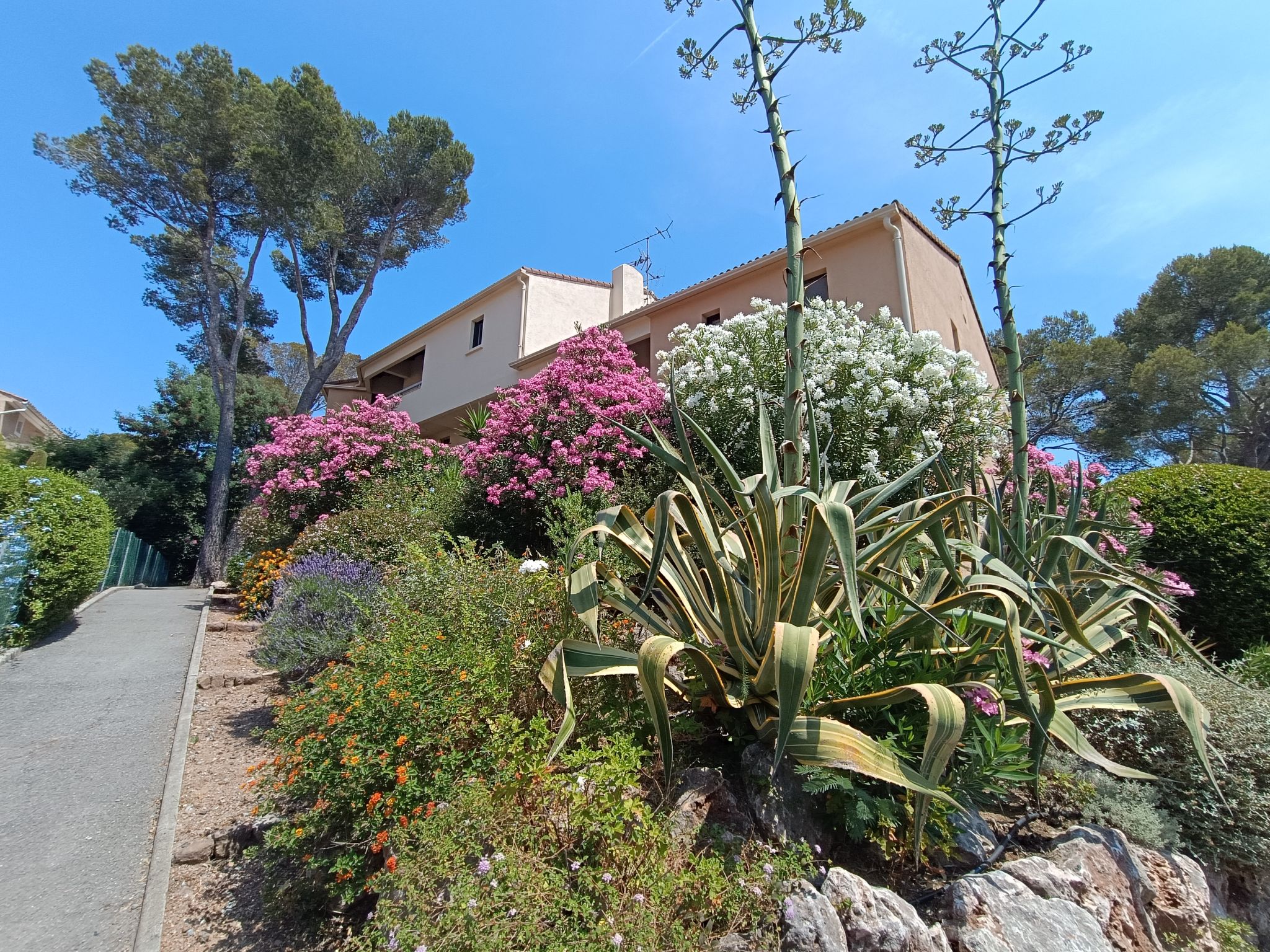 Pinède Mer et Soleil-Outside