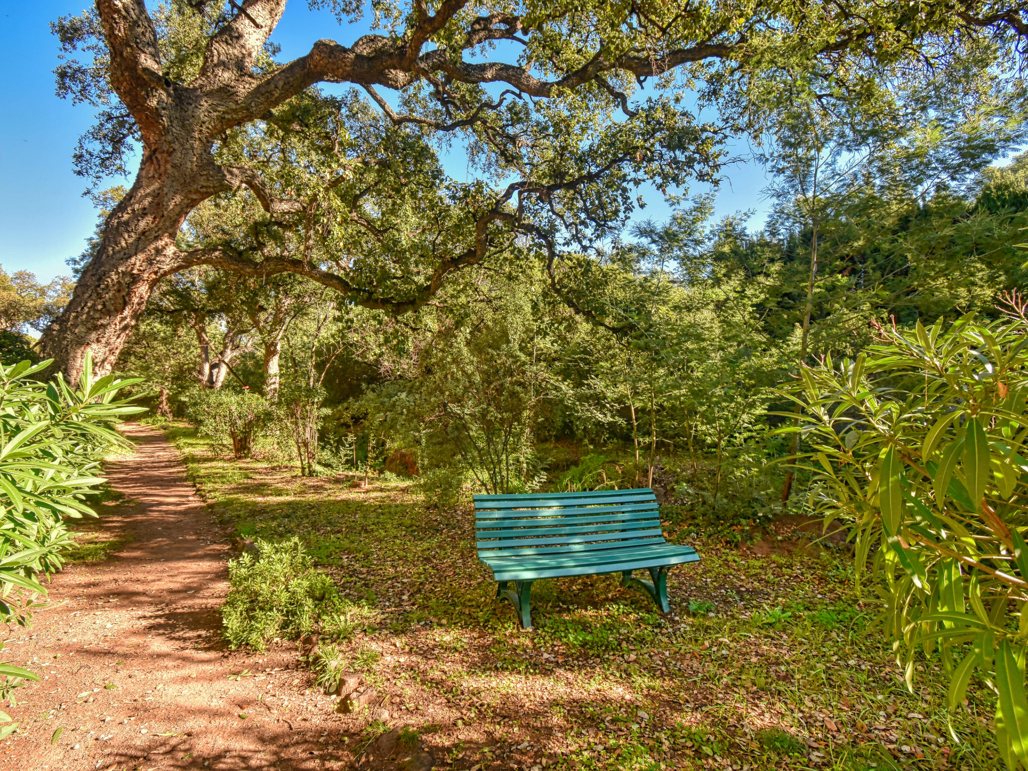 Photo of Le Capricorne