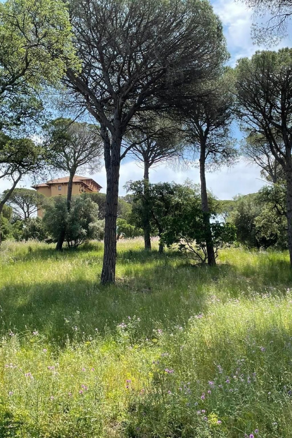 Grande Maisonette-Binnen