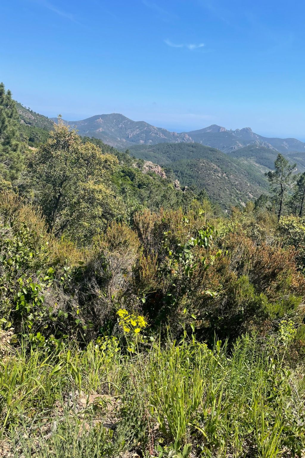 Grande Maisonette-Binnen