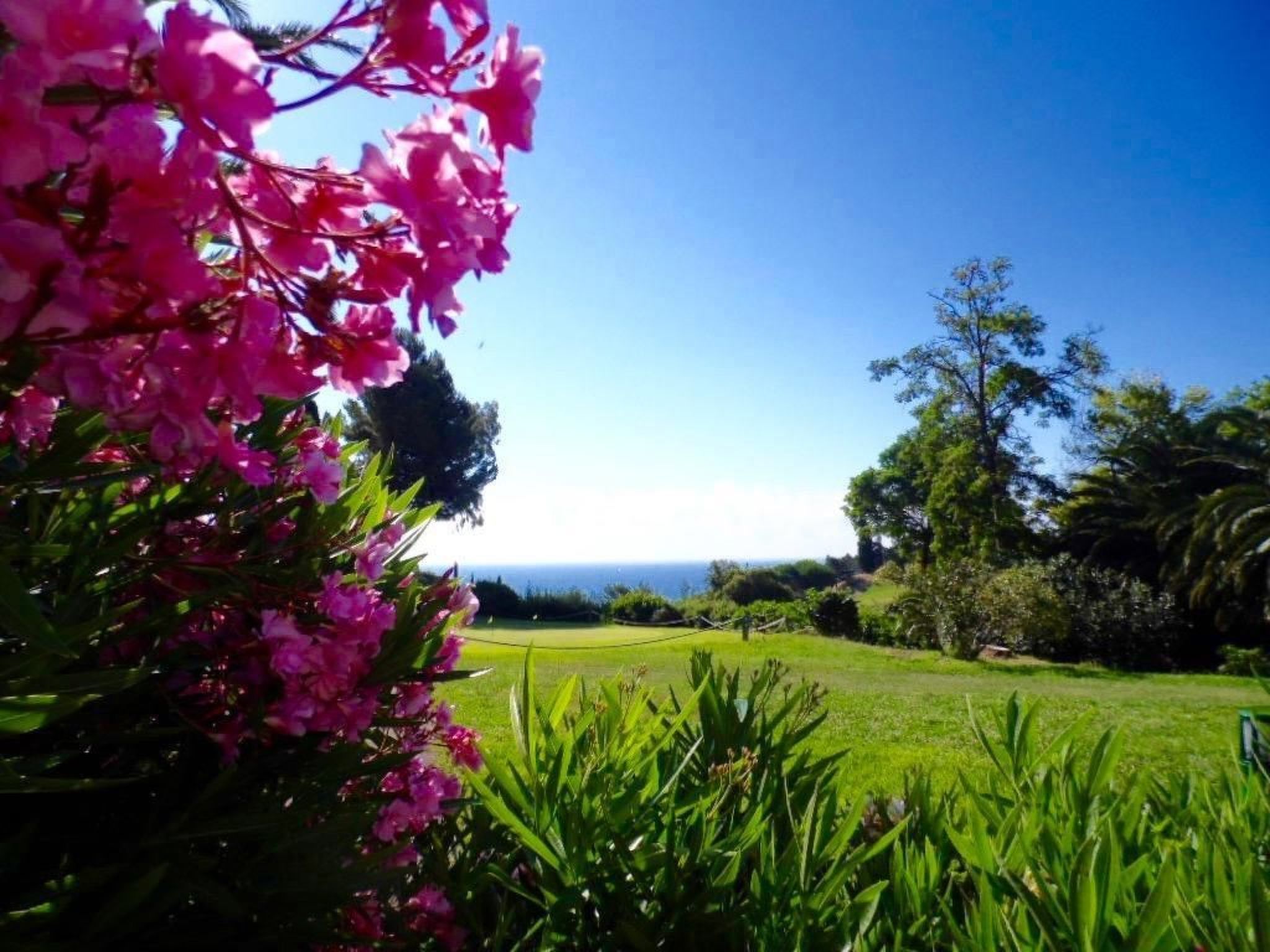 Photo of Cap Esterel Prestige