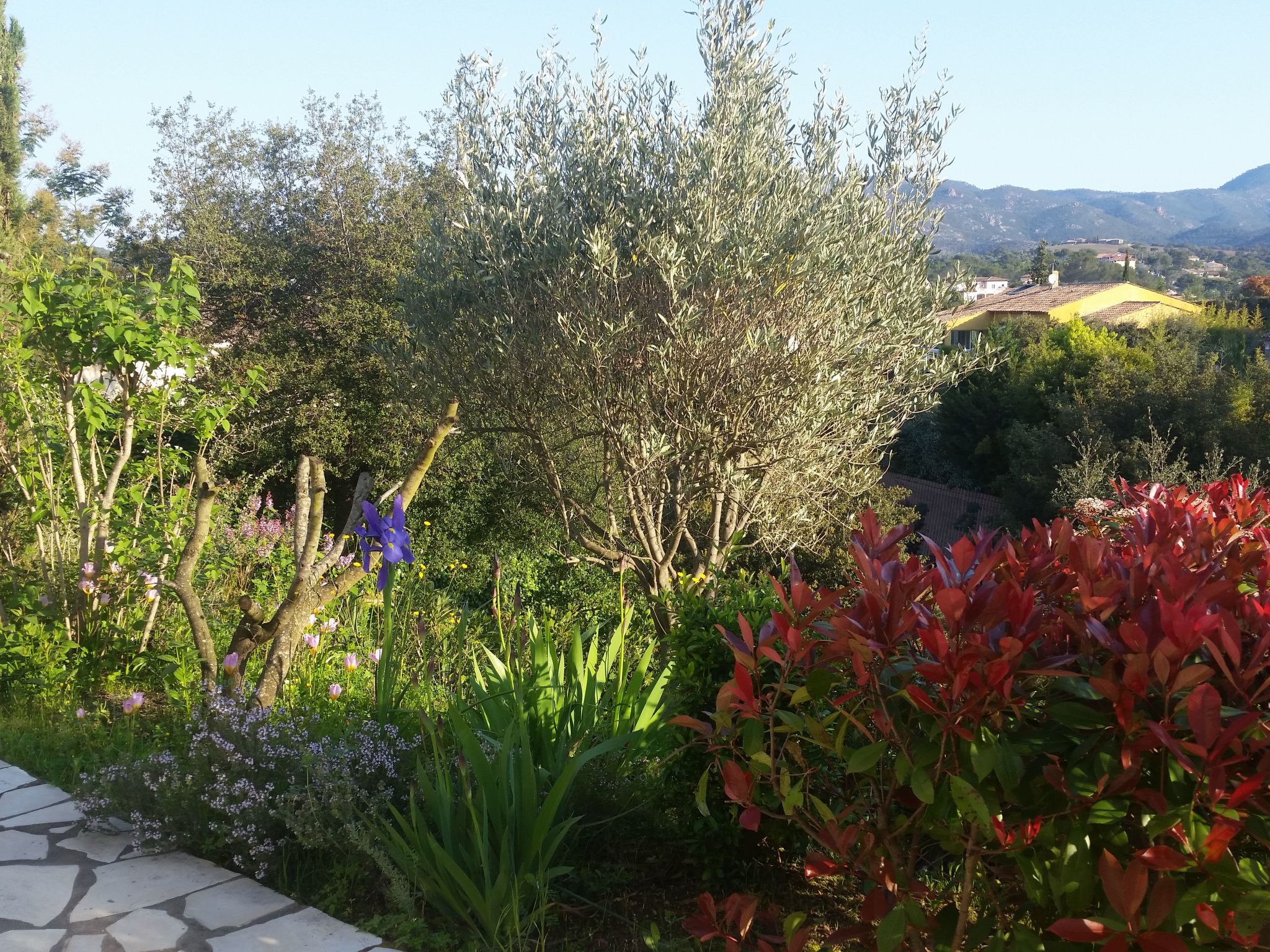 Die Sonne der Côte d'Azur-Binnen