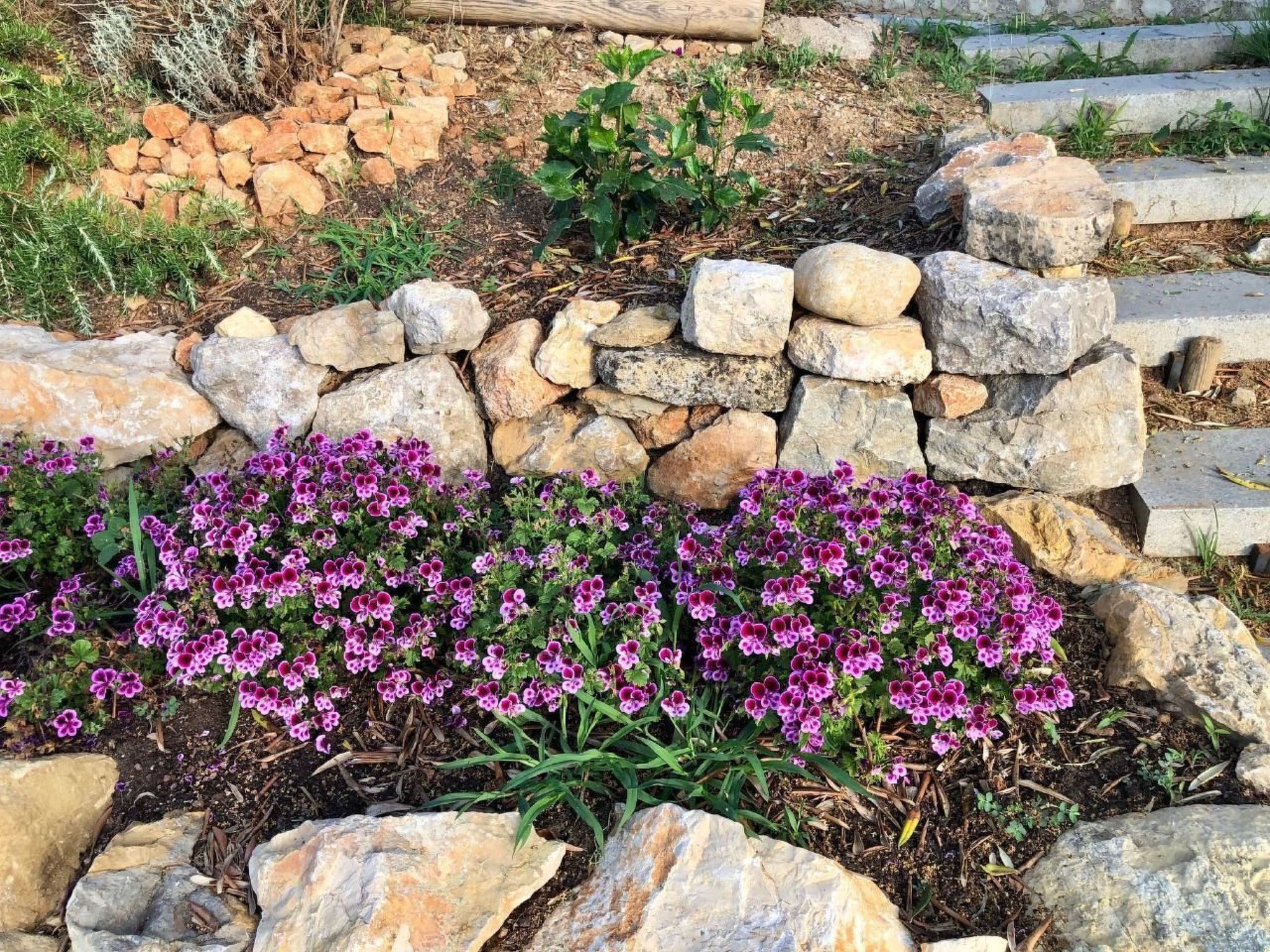 Côte d'Azur ganze Villa beheizter Pool Meerblick-Binnen