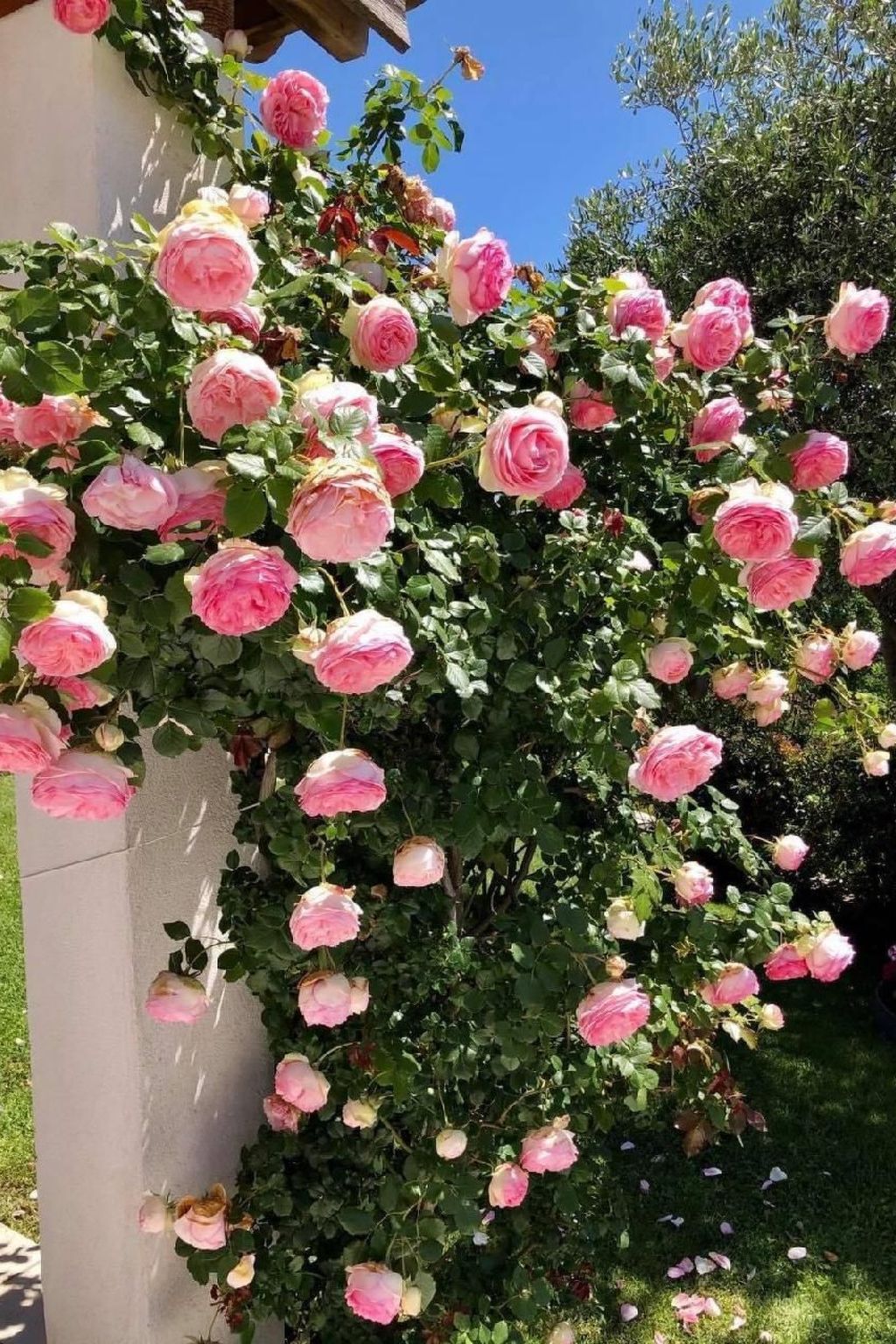 Côte d'Azur ganze Villa beheizter Pool Meerblick-Binnen