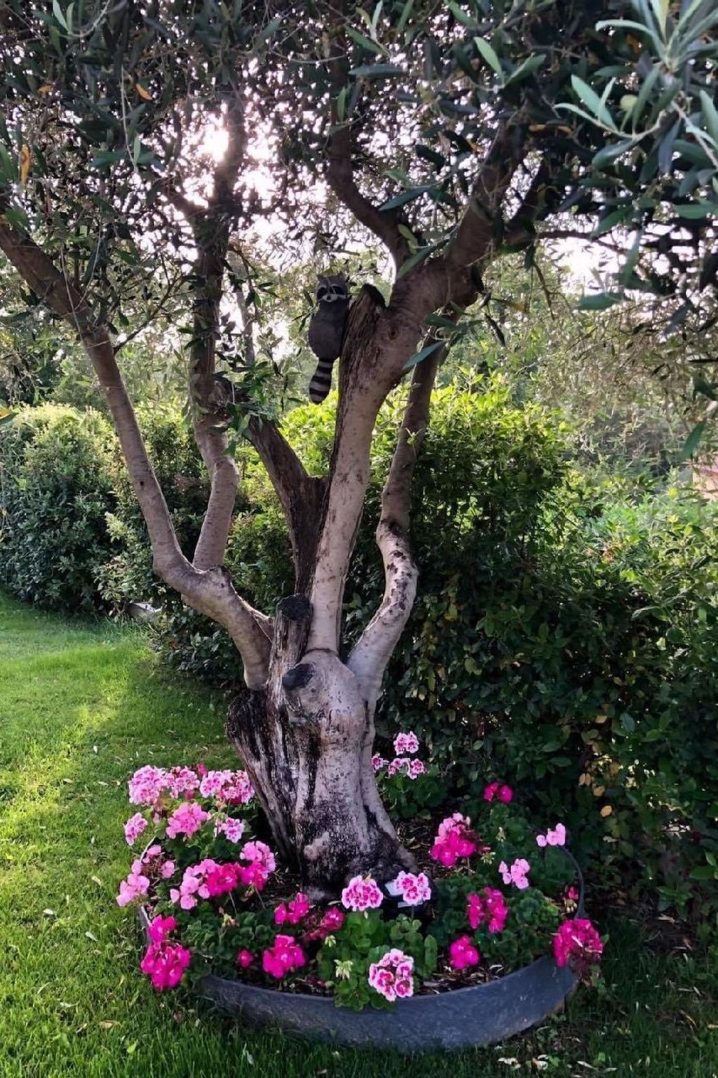 Côte d'Azur ganze Villa beheizter Pool Meerblick-Binnen