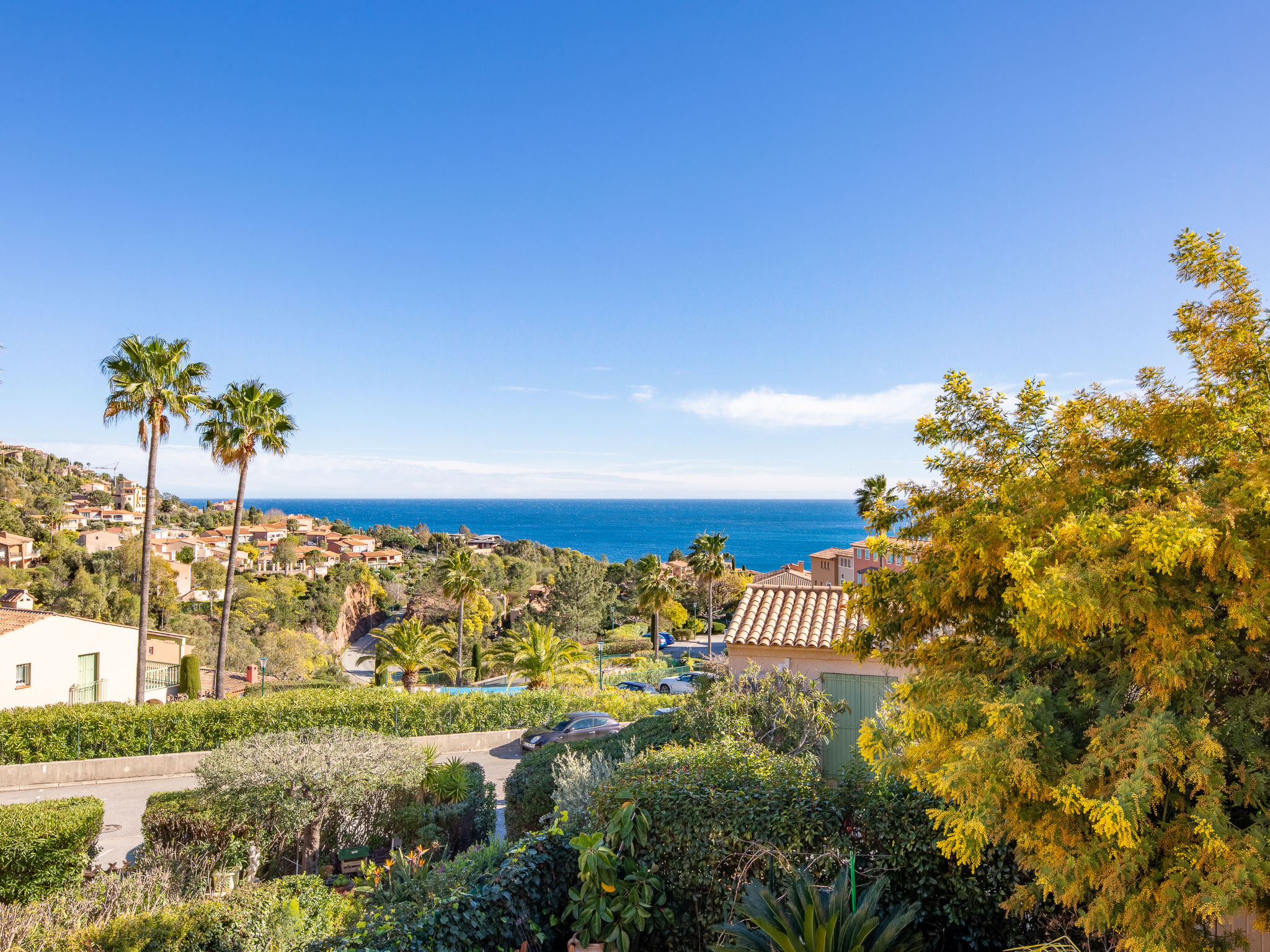 Photo of Les Mimosas