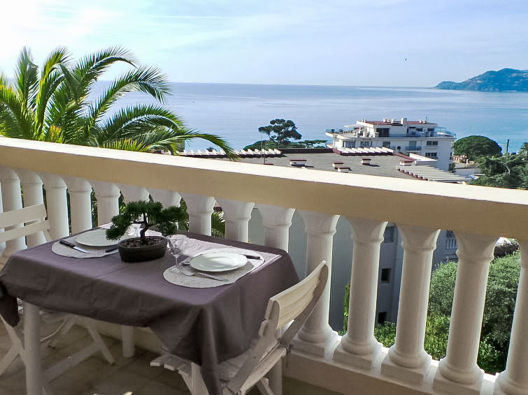 Search and Stay, undefined in undefined. Gallery position 3