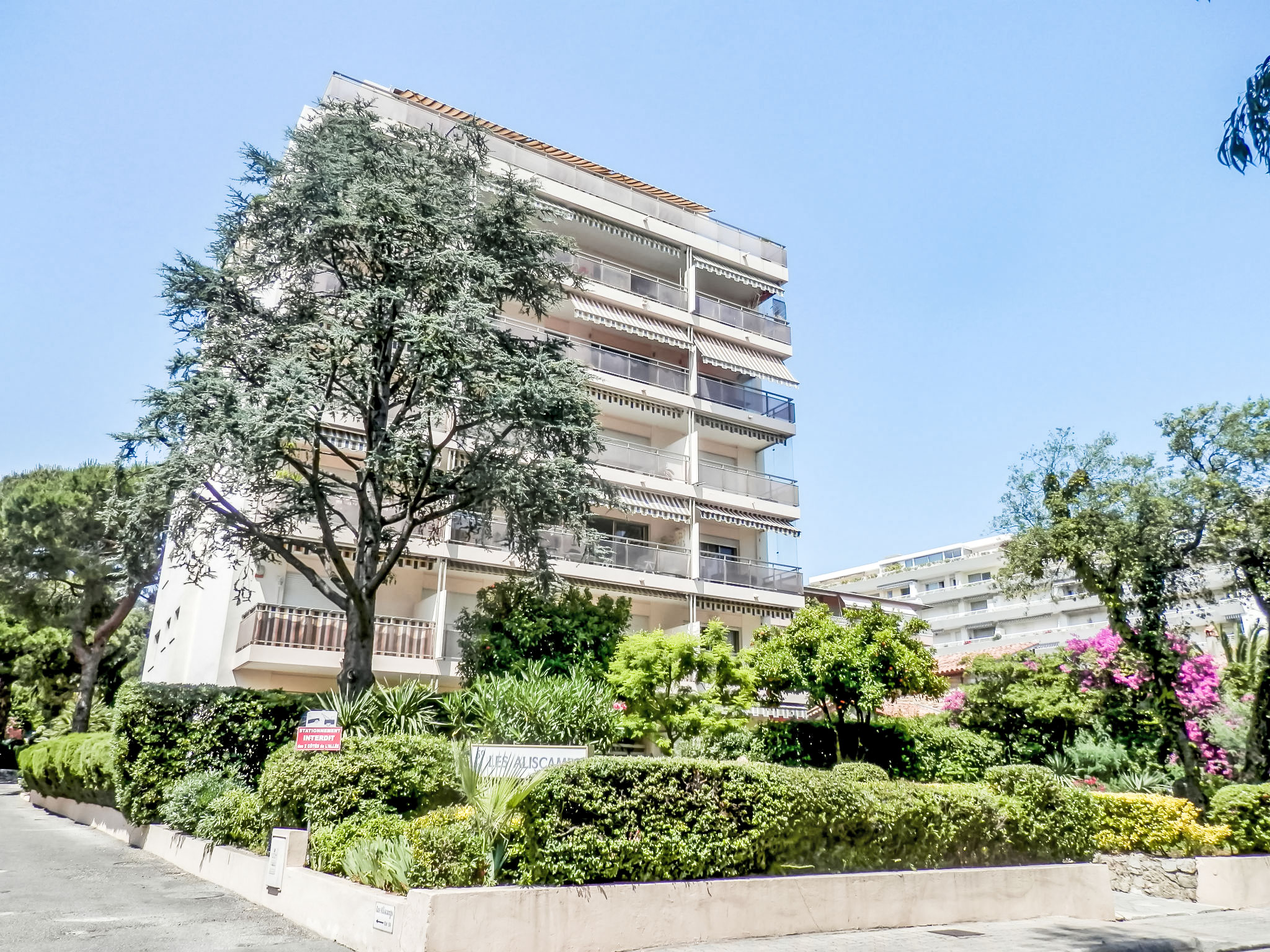 Photo of Les Aliscamps