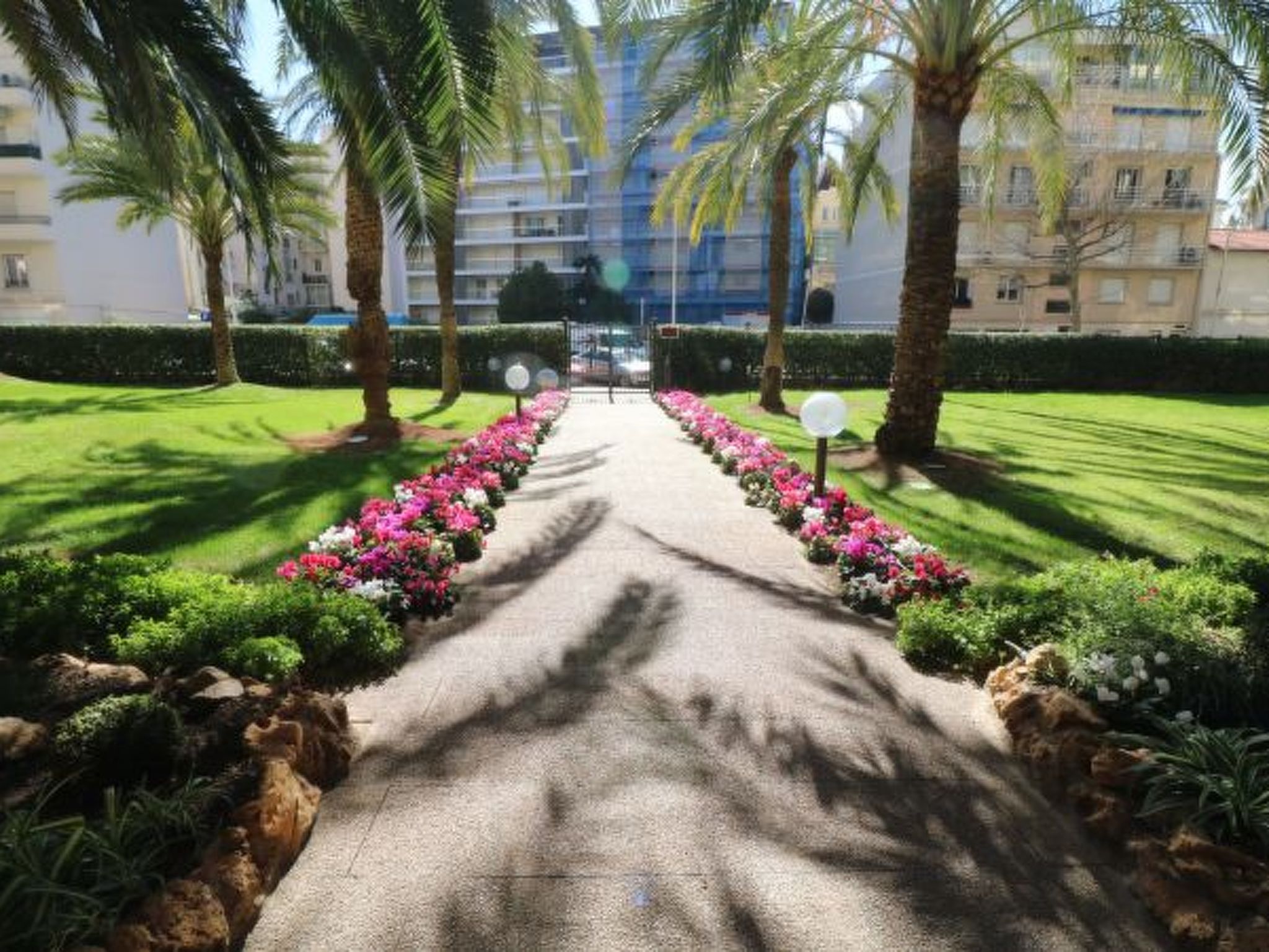 Photo of Luxury 1 bedroom  Jardin Croisette 265