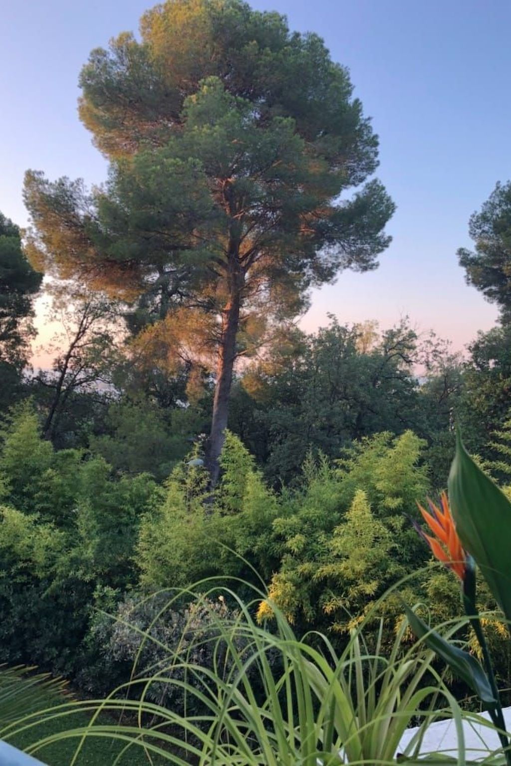 Residenz Standing,3P,72M2,Cannes,Klassifiziert 3Sterne-Dehors