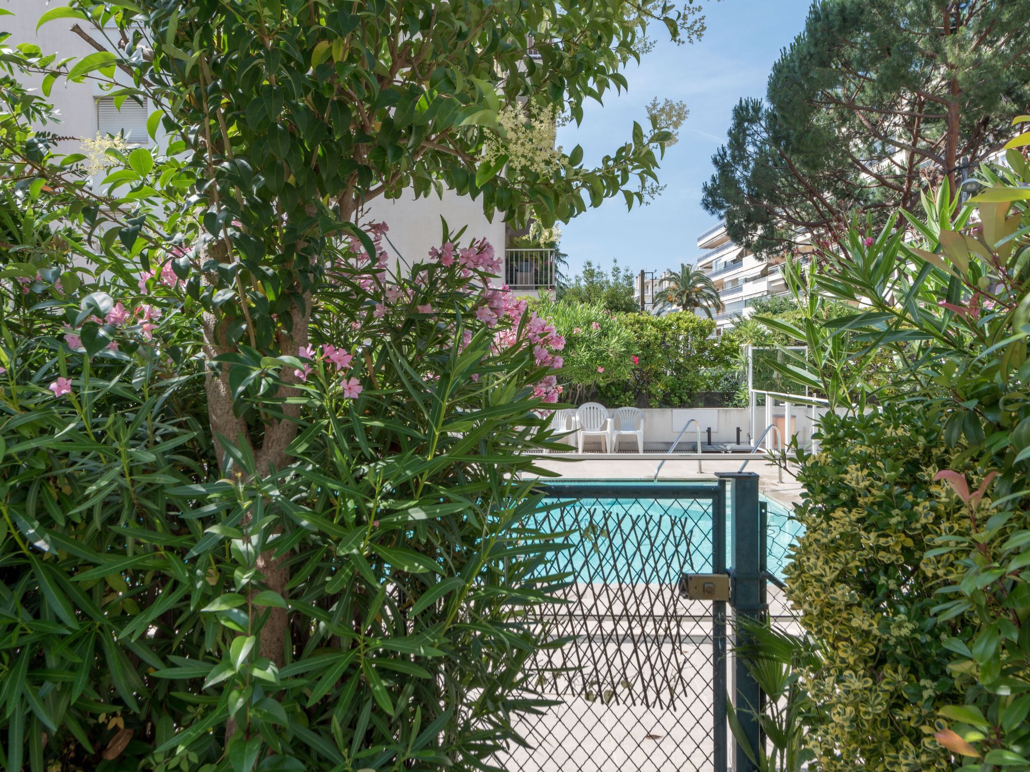 Photo of Villa Schneider