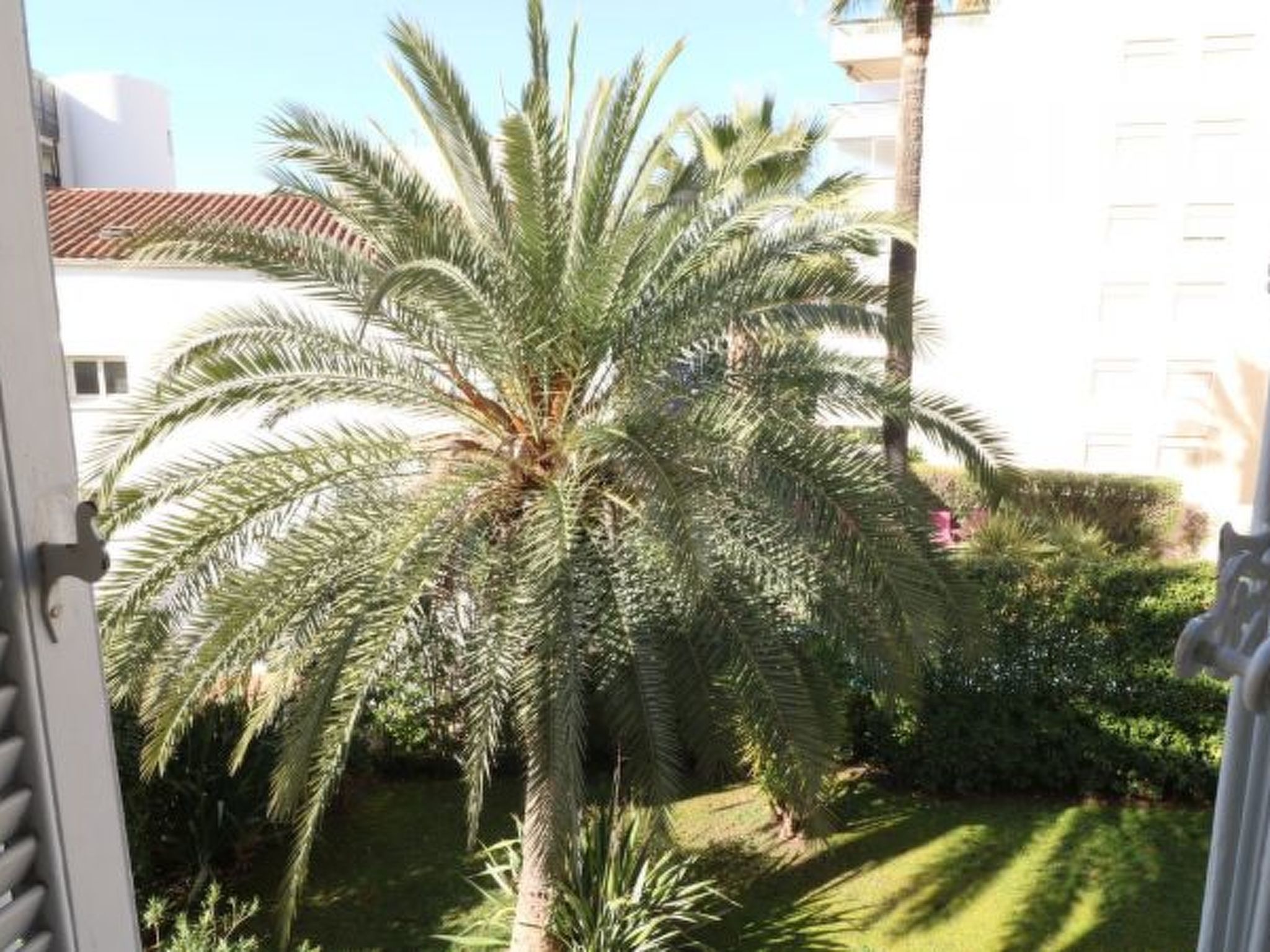 Photo of Beautiful 3 bedroom Carlton Canada 403