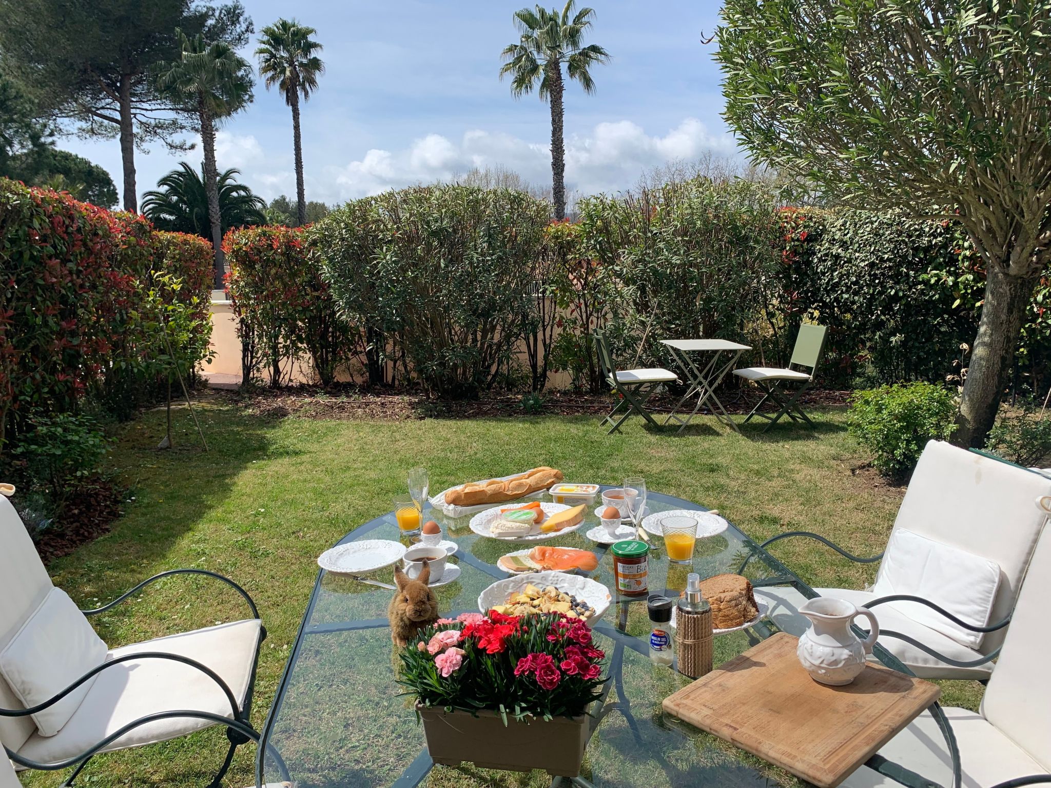 Wohnung in Mougins mit Gepflegtem Garten-Image-tags.info