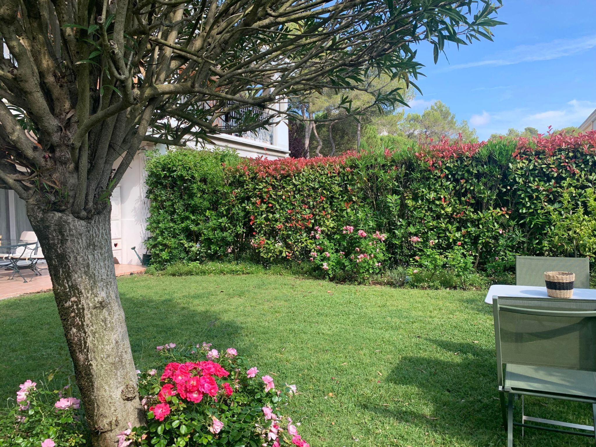 Wohnung in Mougins mit Gepflegtem Garten-Image-tags.info