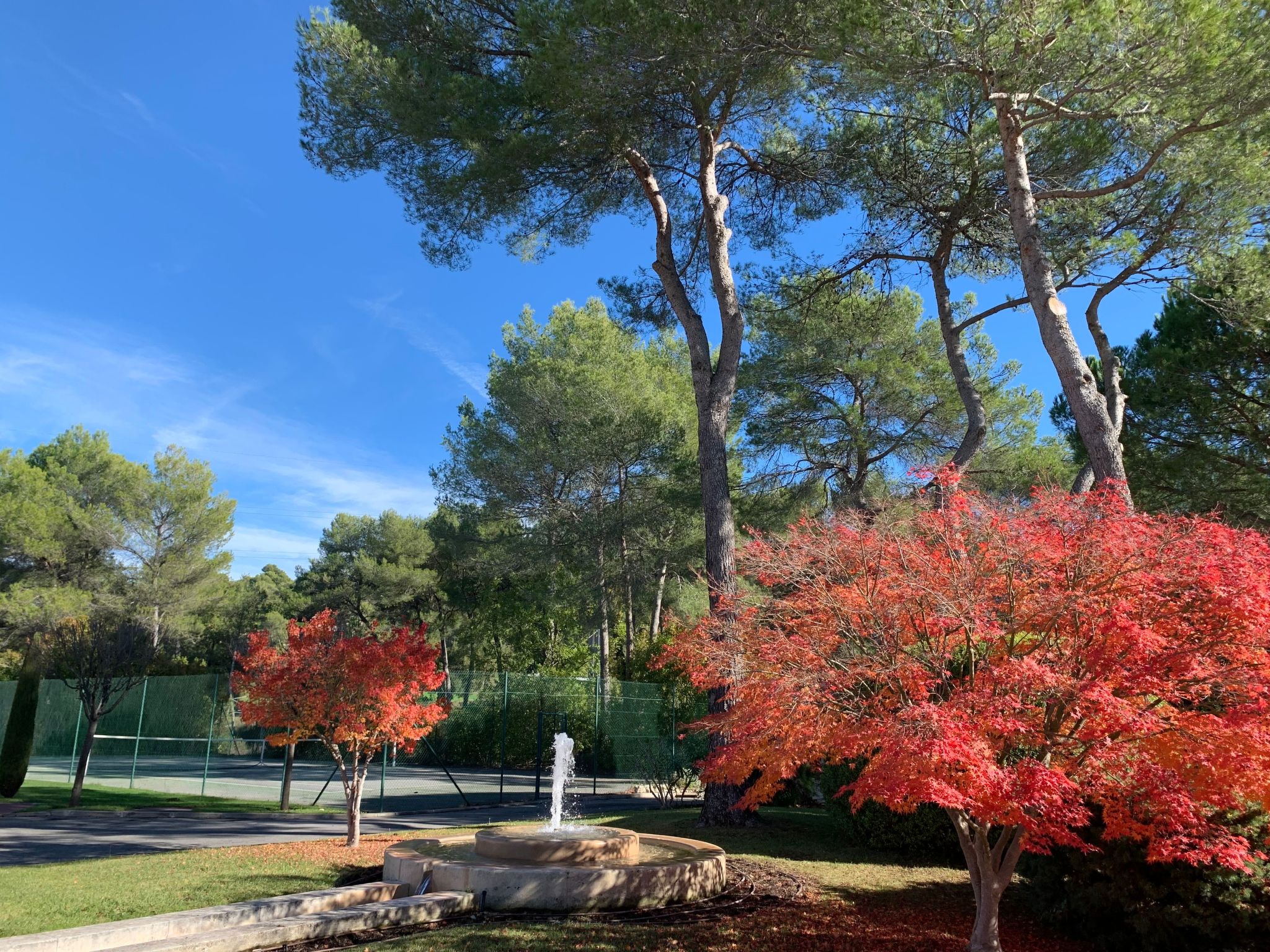 Wohnung in Mougins mit Gepflegtem Garten-Image-tags.info