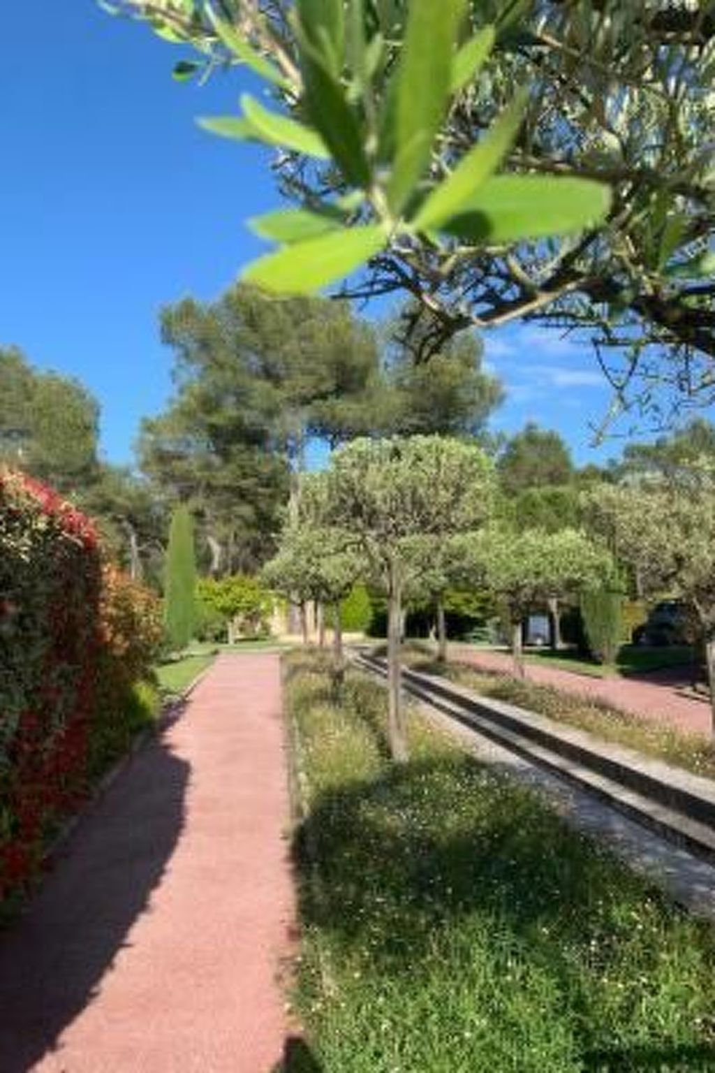 Moderne Wohnung in Mougins mit eigenem Garten-Binnen
