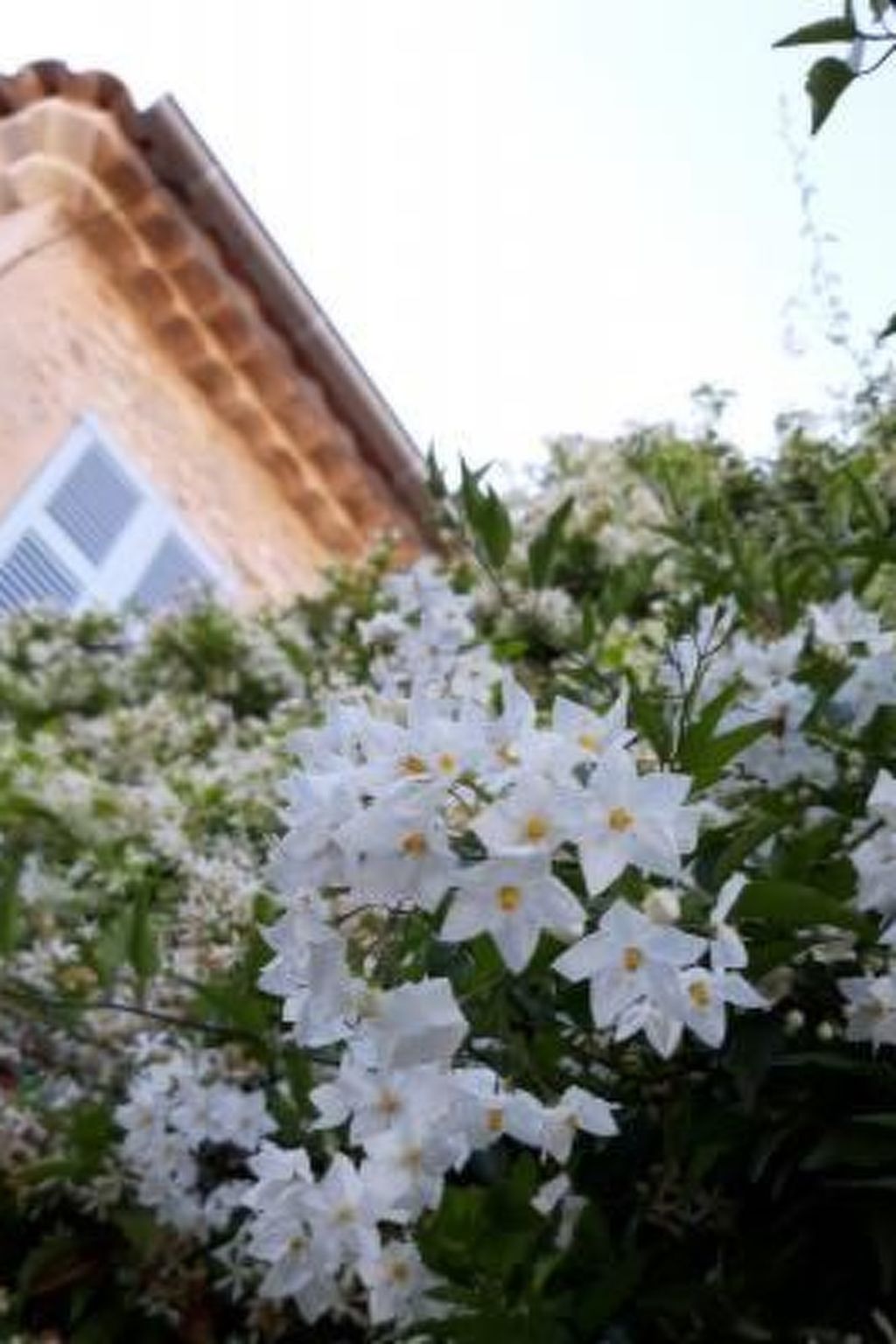 Moderne Wohnung in Mougins mit eigenem Garten-Binnen