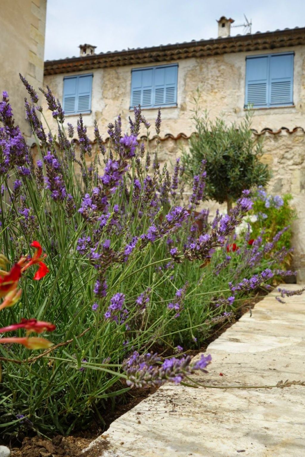 SCHÖNES STUDIO MIT GARTEN FÜR 2 IM DORF-Image-tags.info