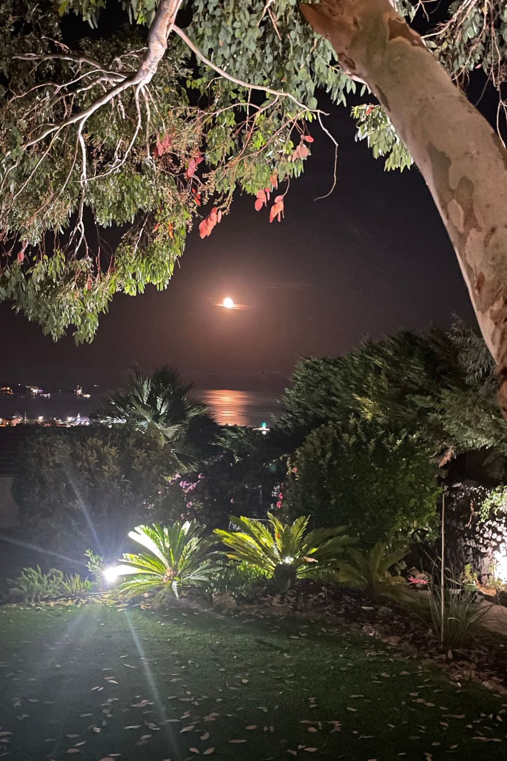 Ferienvilla mit Blick auf das Wasser-Inside