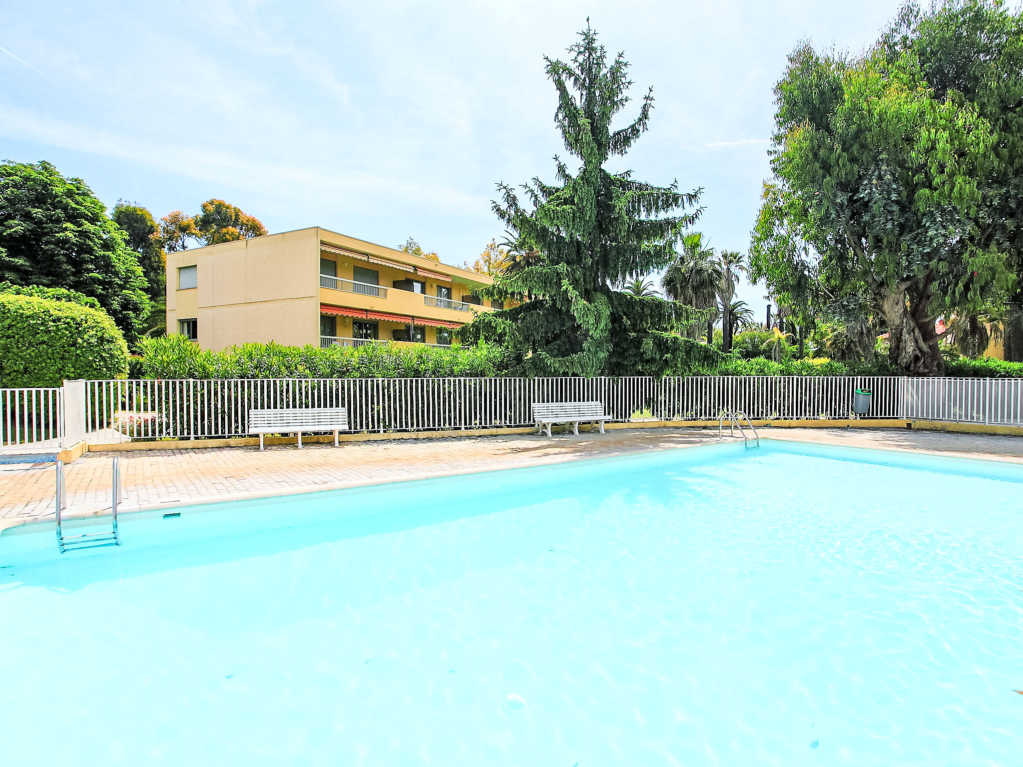 Photo of Les Eucalyptus