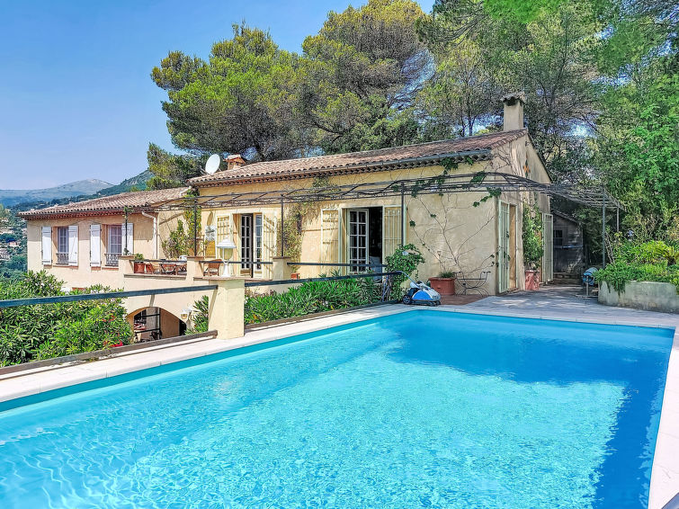 Grenouille - Vence