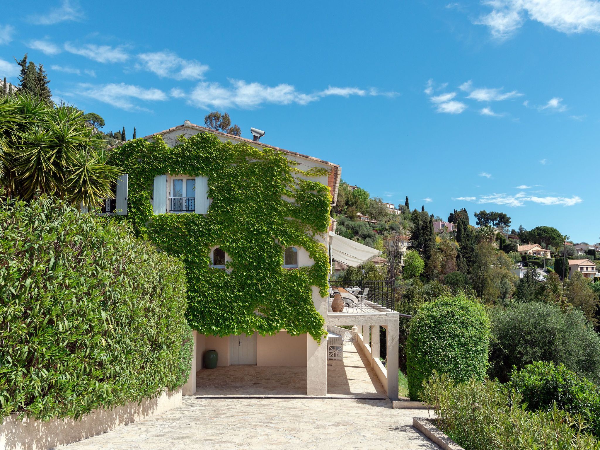 Provin-Image-tags.info