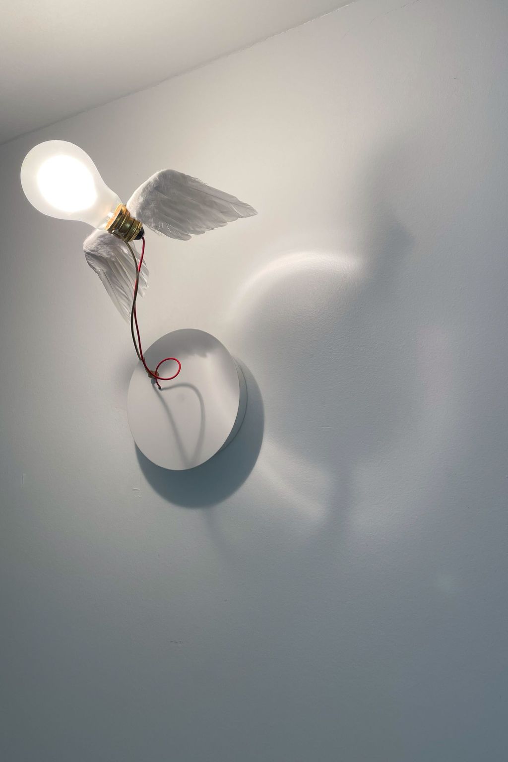 Provin-Image-tags.info