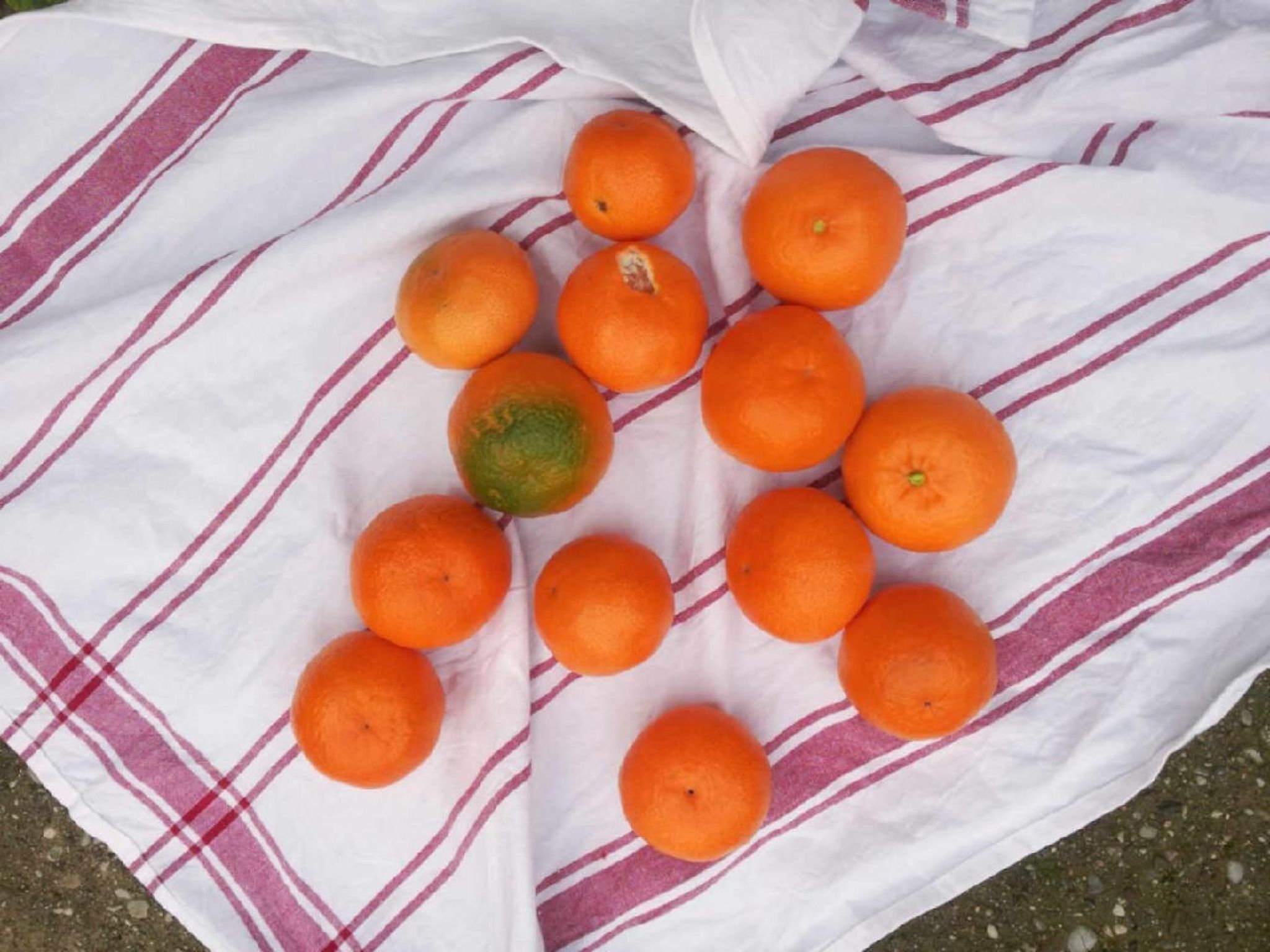 Locations-06 - Die Eugenie-Image-tags.info