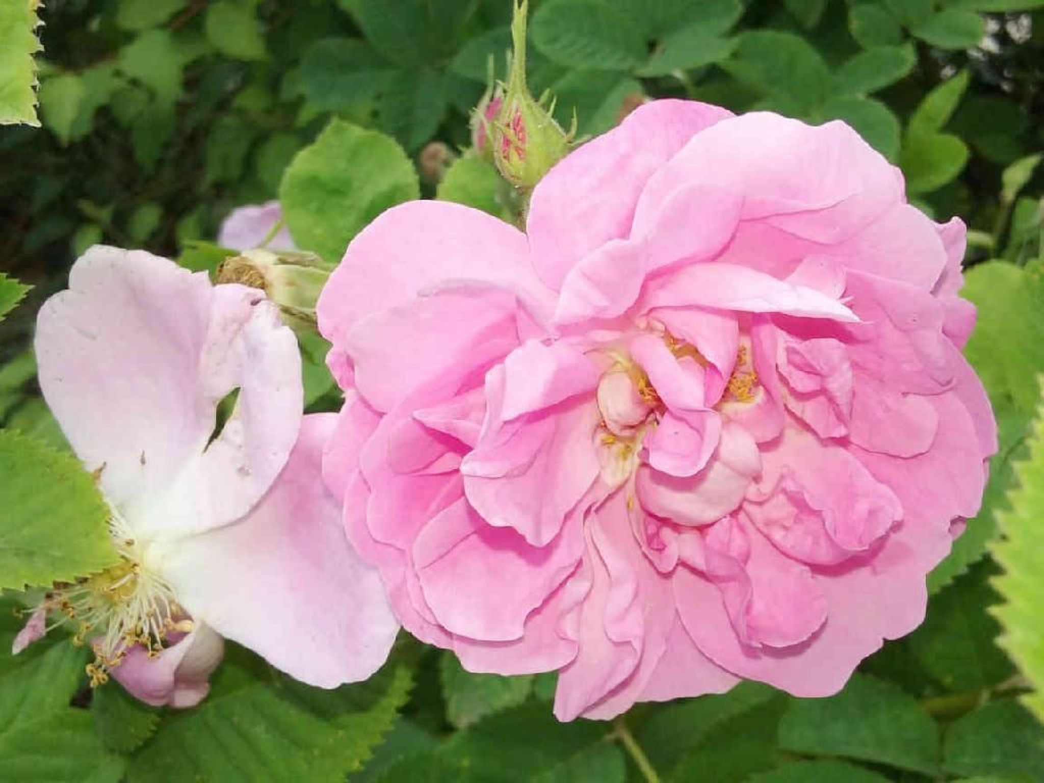 Locations-06 - Die Eugenie-Image-tags.info