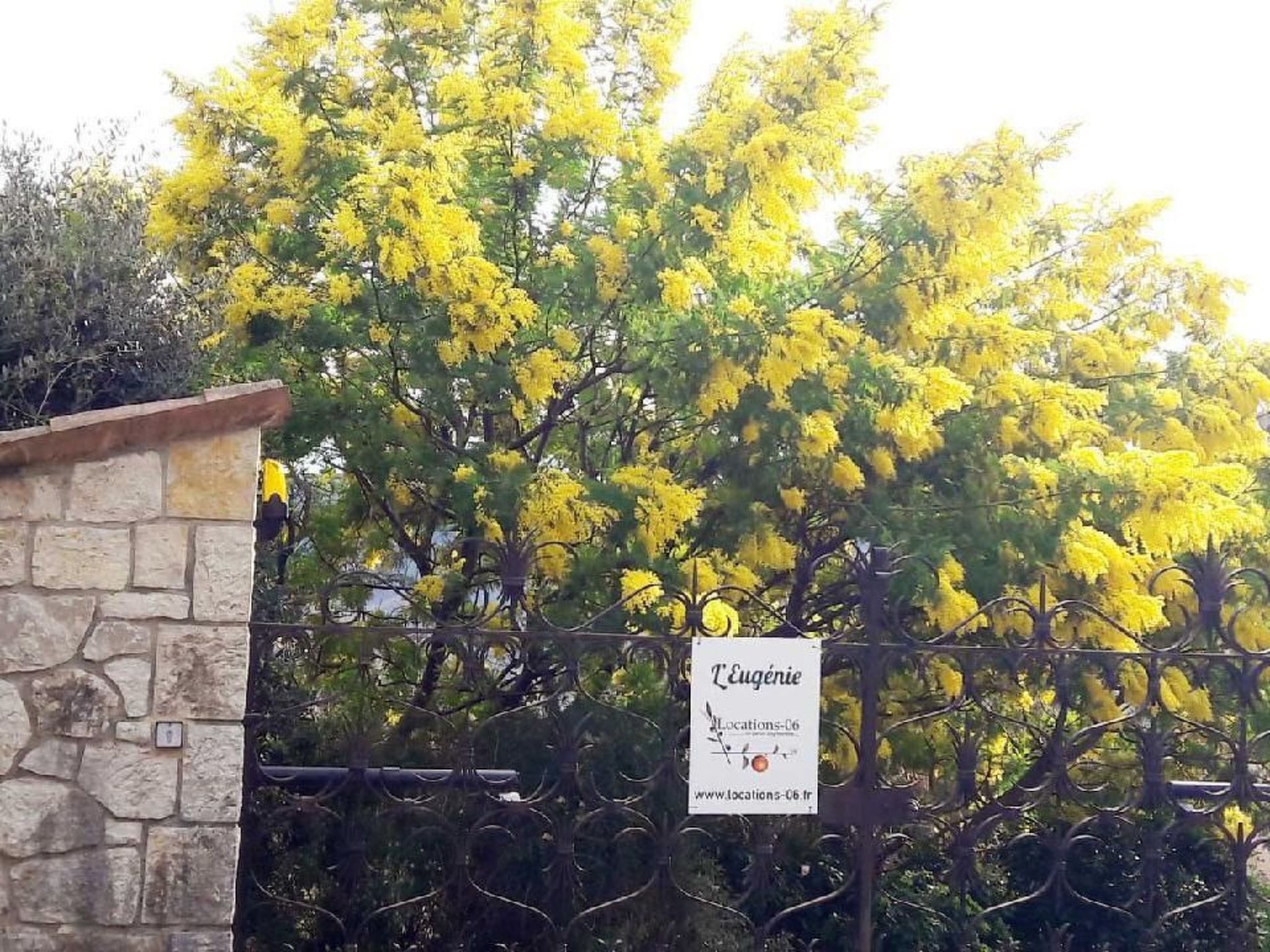 Locations-06 - Die Eugenie-Image-tags.info