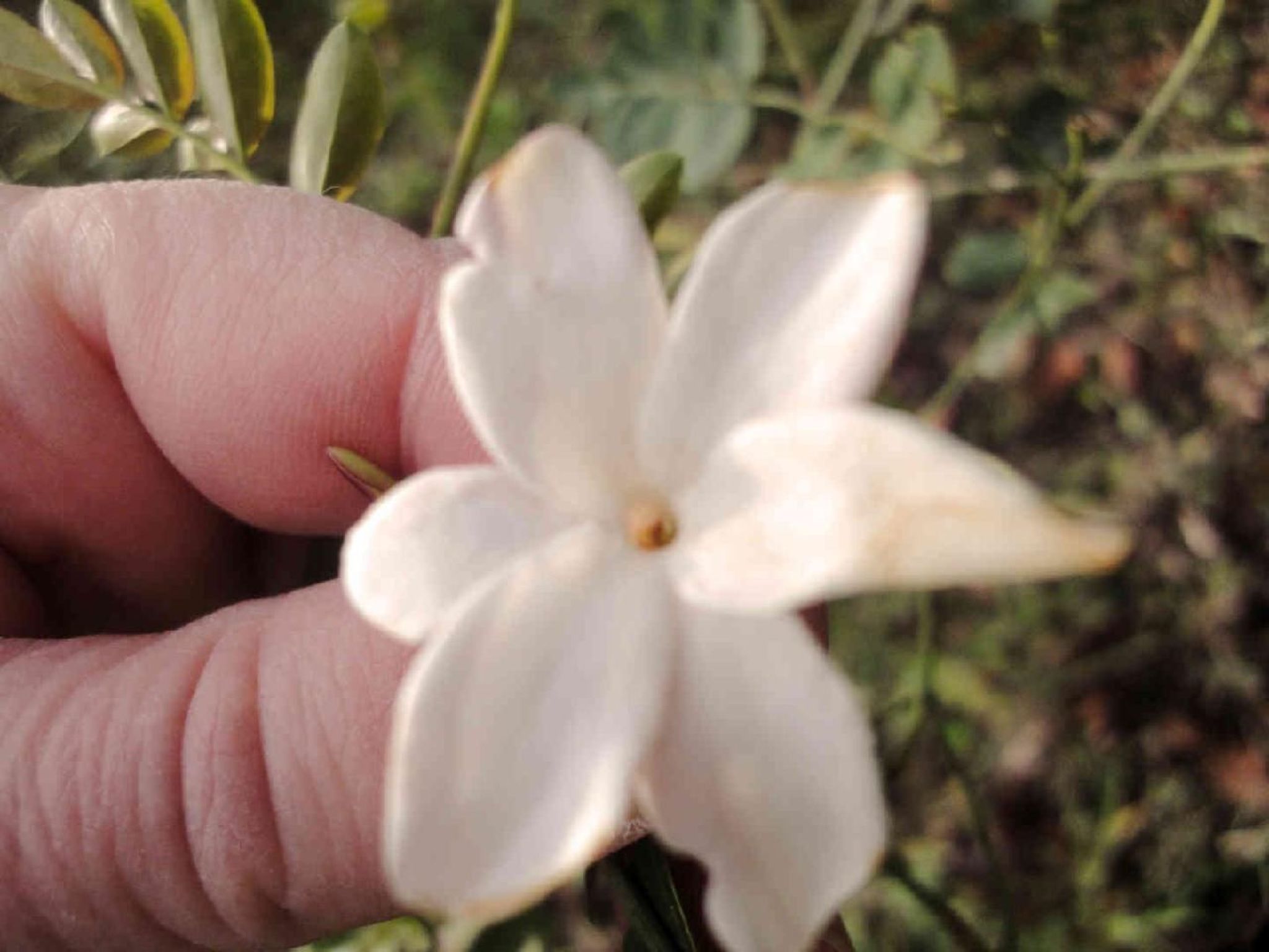 Locations-06 - Die Eugenie-Image-tags.info