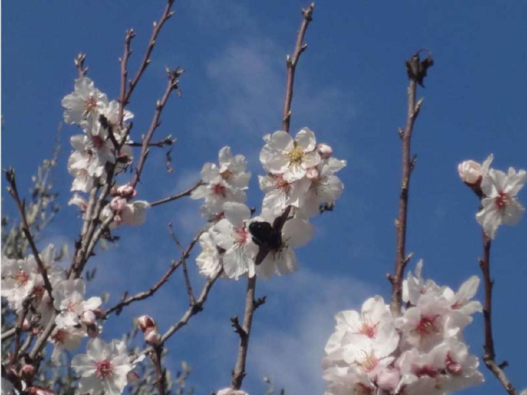 Locations-06 - Die Eugenie-Image-tags.info