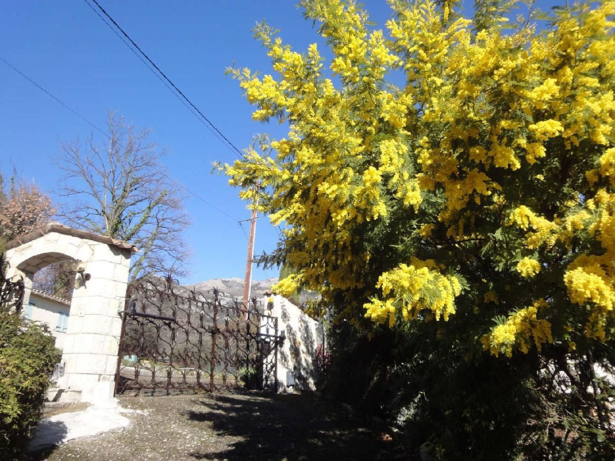 Locations-06 - Die Eugenie-Image-tags.info