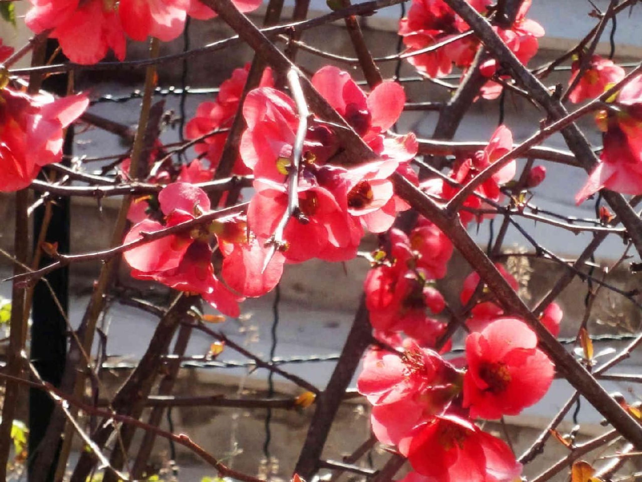 Locations-06 - Die Eugenie-Image-tags.info