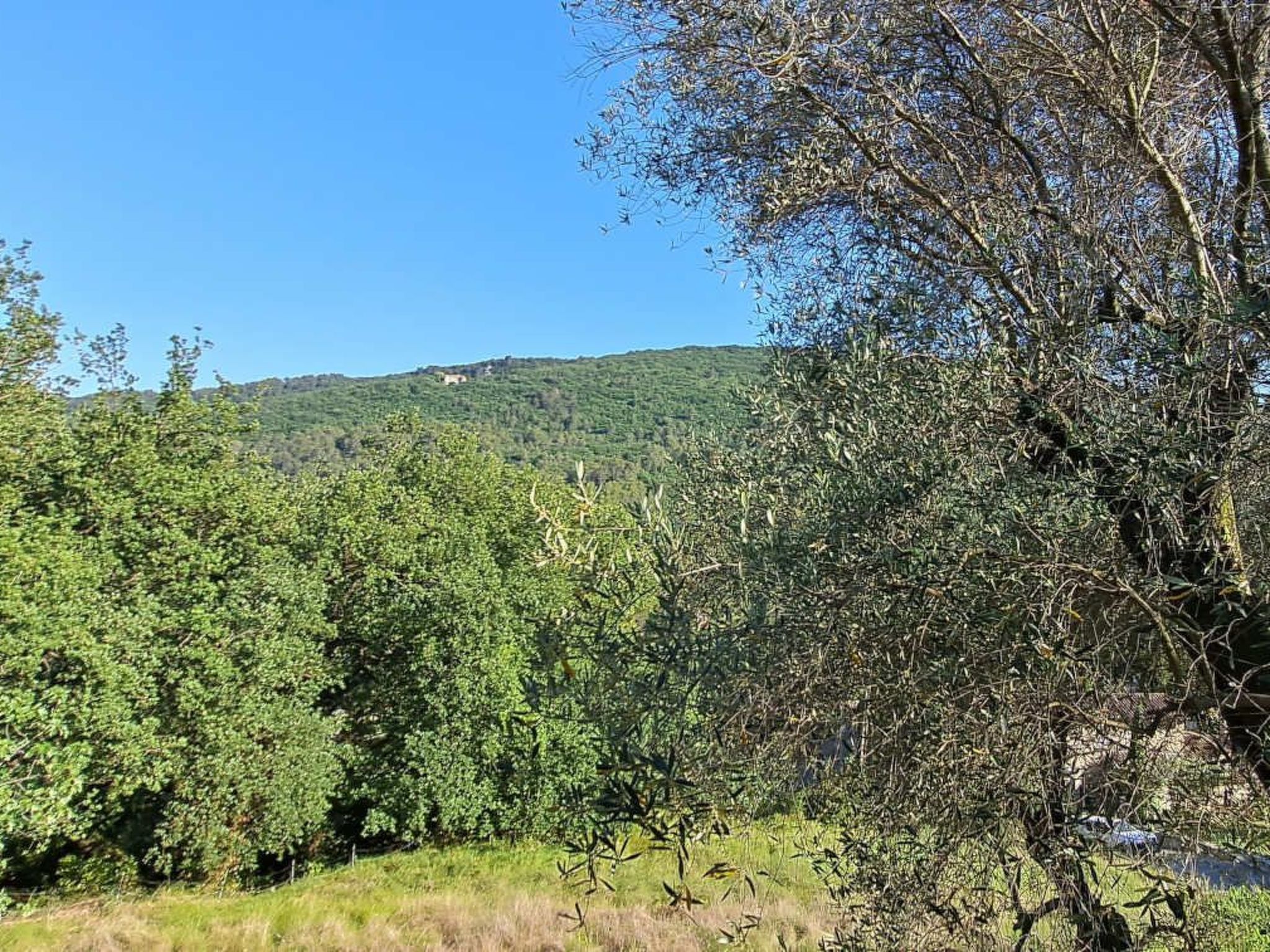 "Maison du Paysan" (Bauernhaus)-Image-tags.info