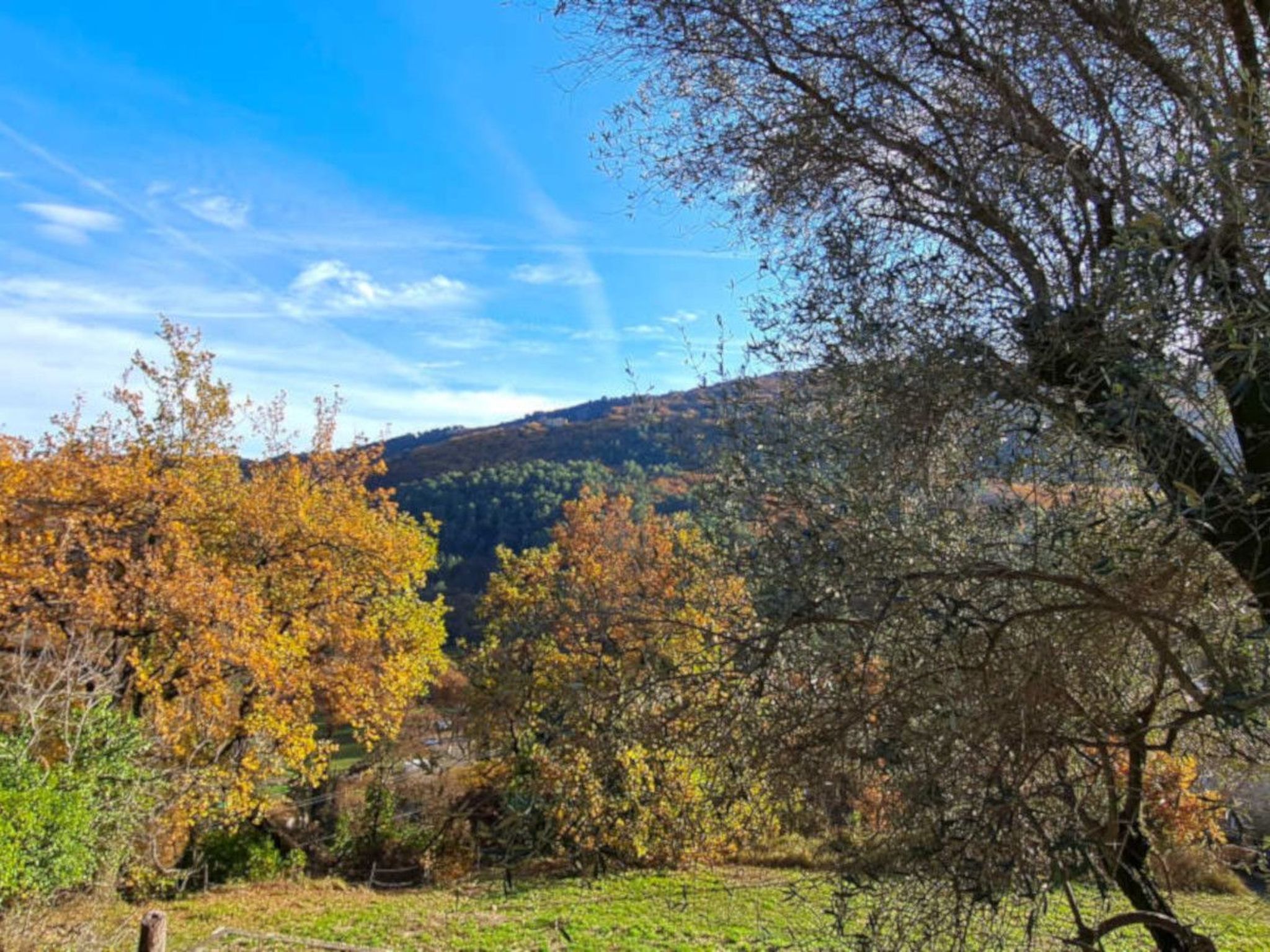 "Maison du Paysan" (Bauernhaus)-Image-tags.info