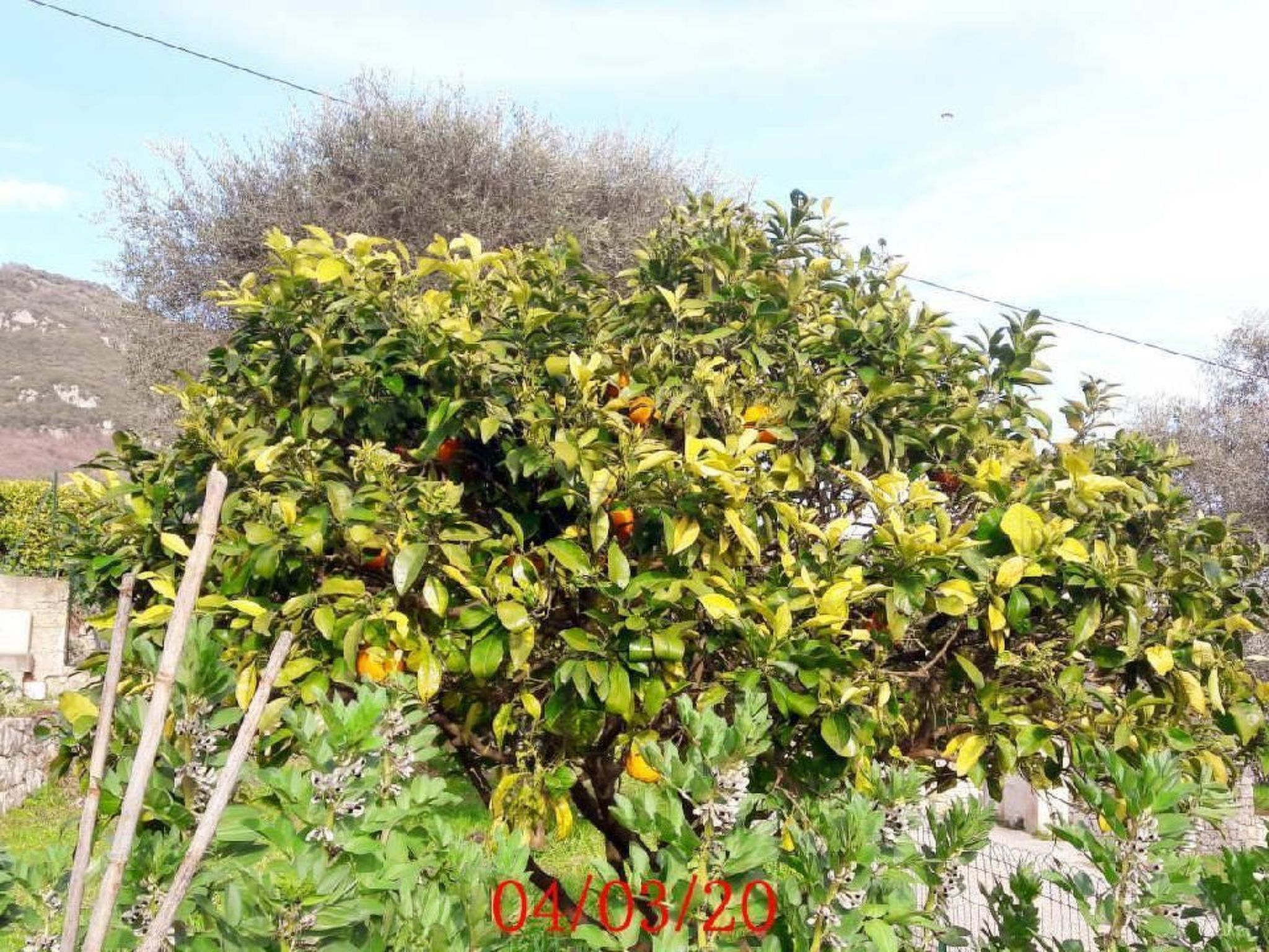 Locations-06 - das haus von noelie 1. stock-Image-tags.info