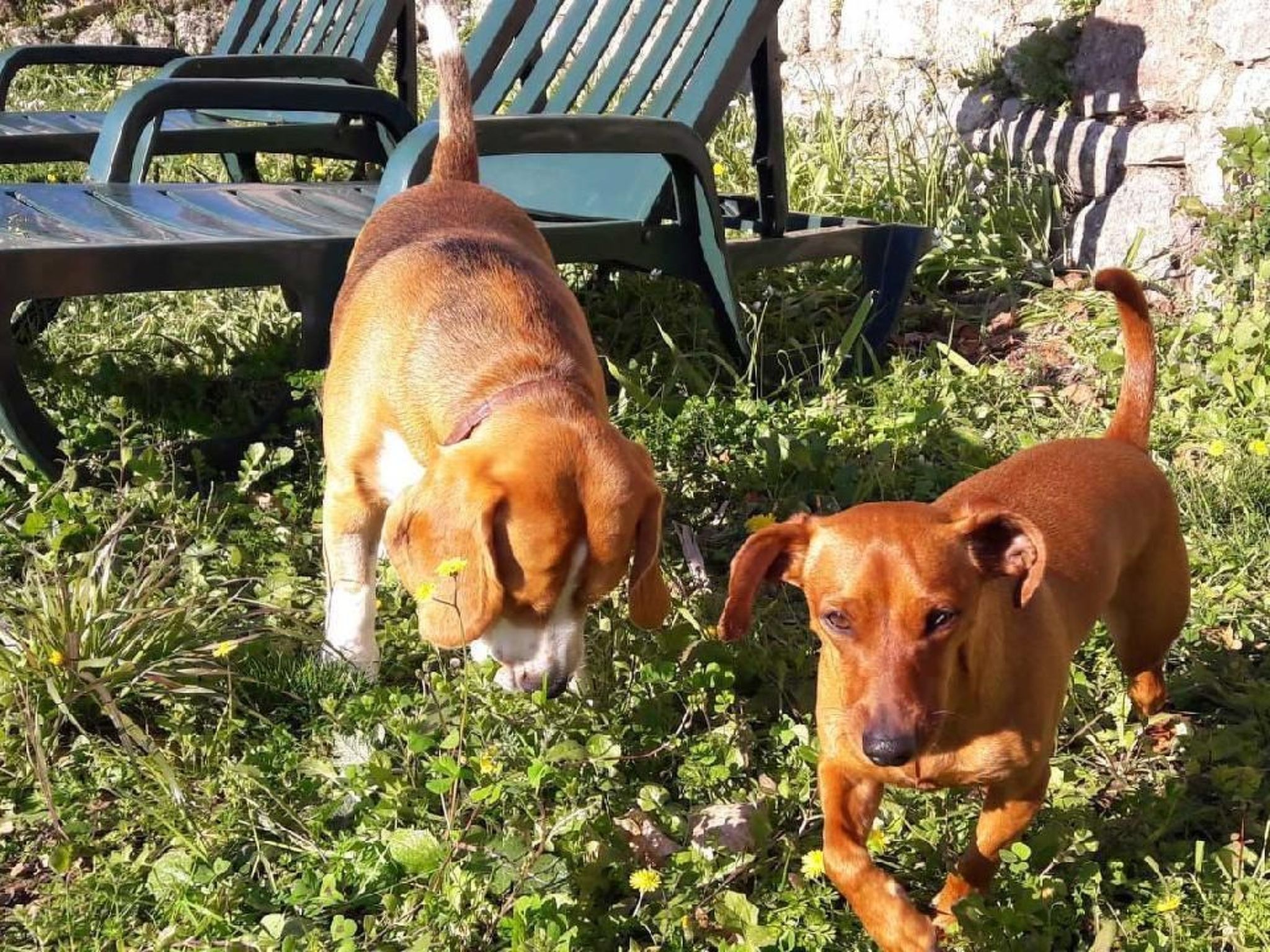 Locations-06 - das haus von noelie 1. stock-Image-tags.info