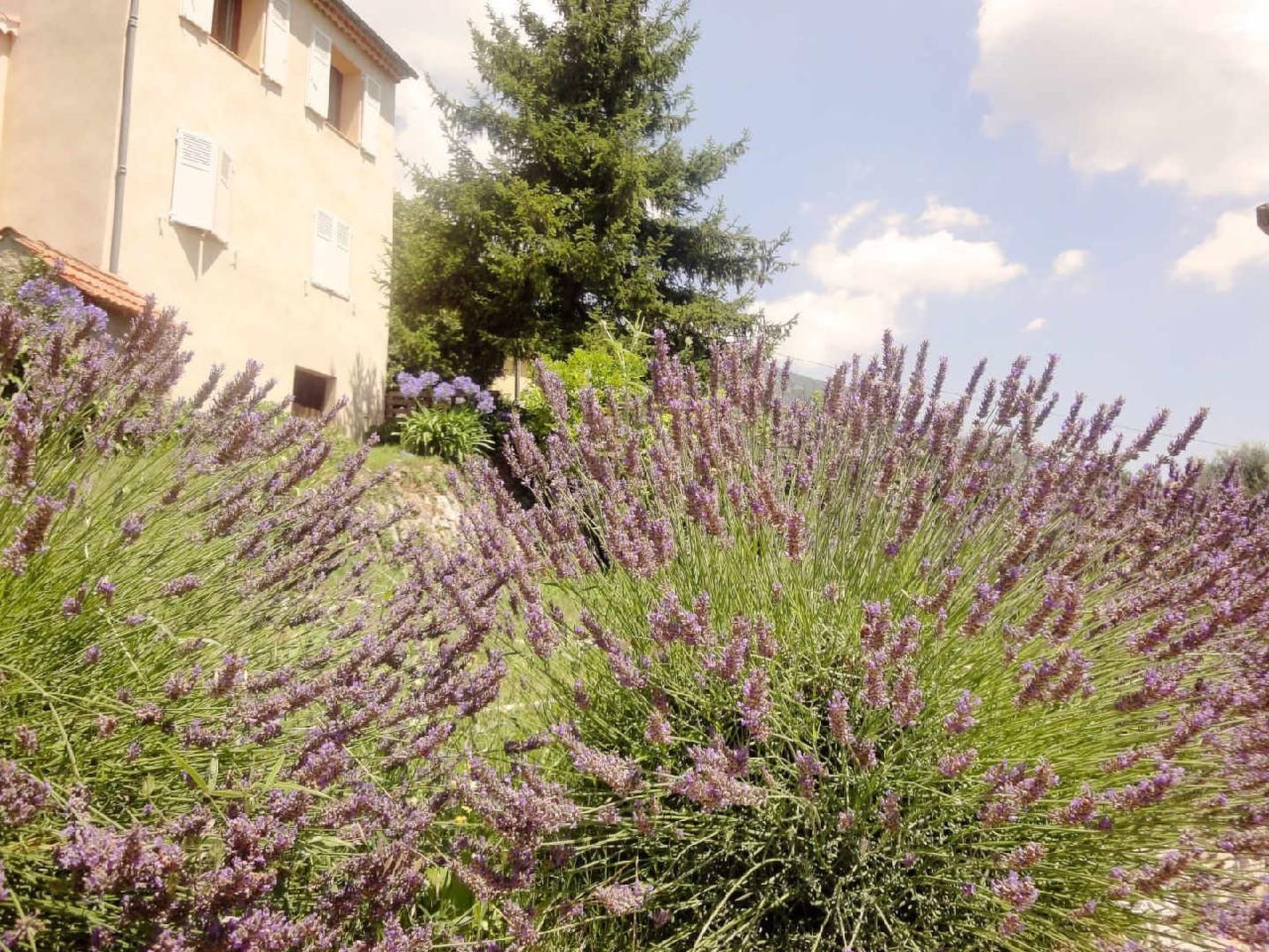 Locations-06 - das haus von noelie 1. stock-Image-tags.info