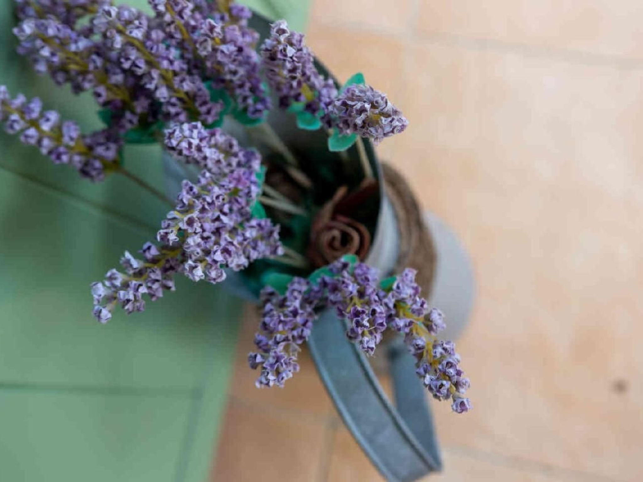 Appartement in Le Bar-Sur-Loup mit Eigenem Garten-Image-tags.info