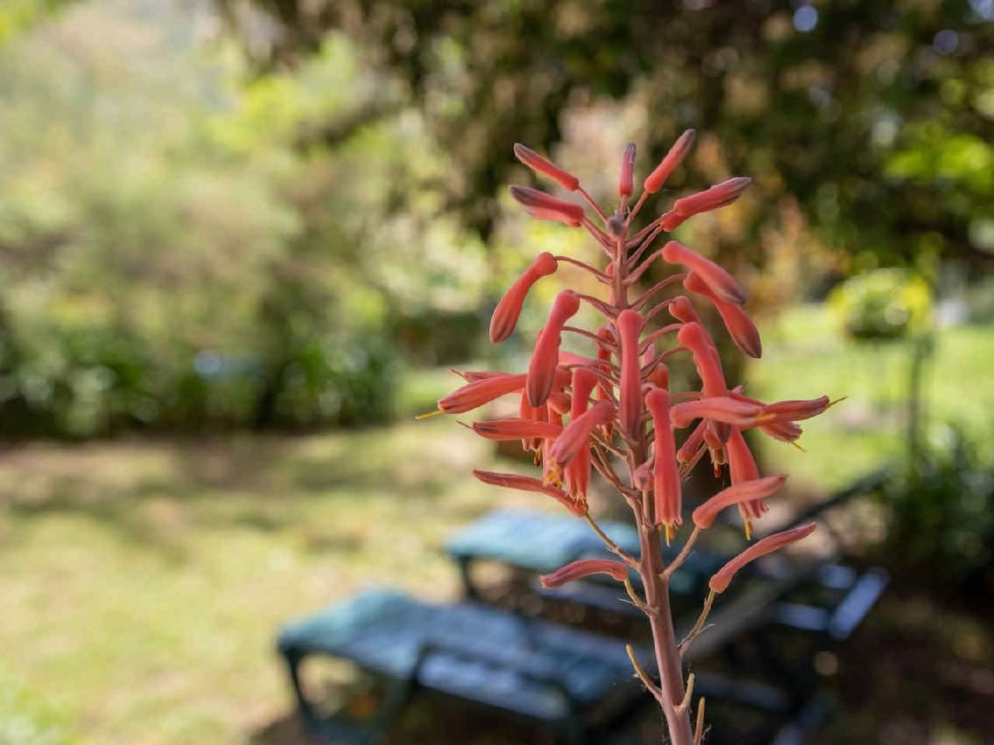 Appartement in Le Bar-Sur-Loup mit Eigenem Garten-Image-tags.info