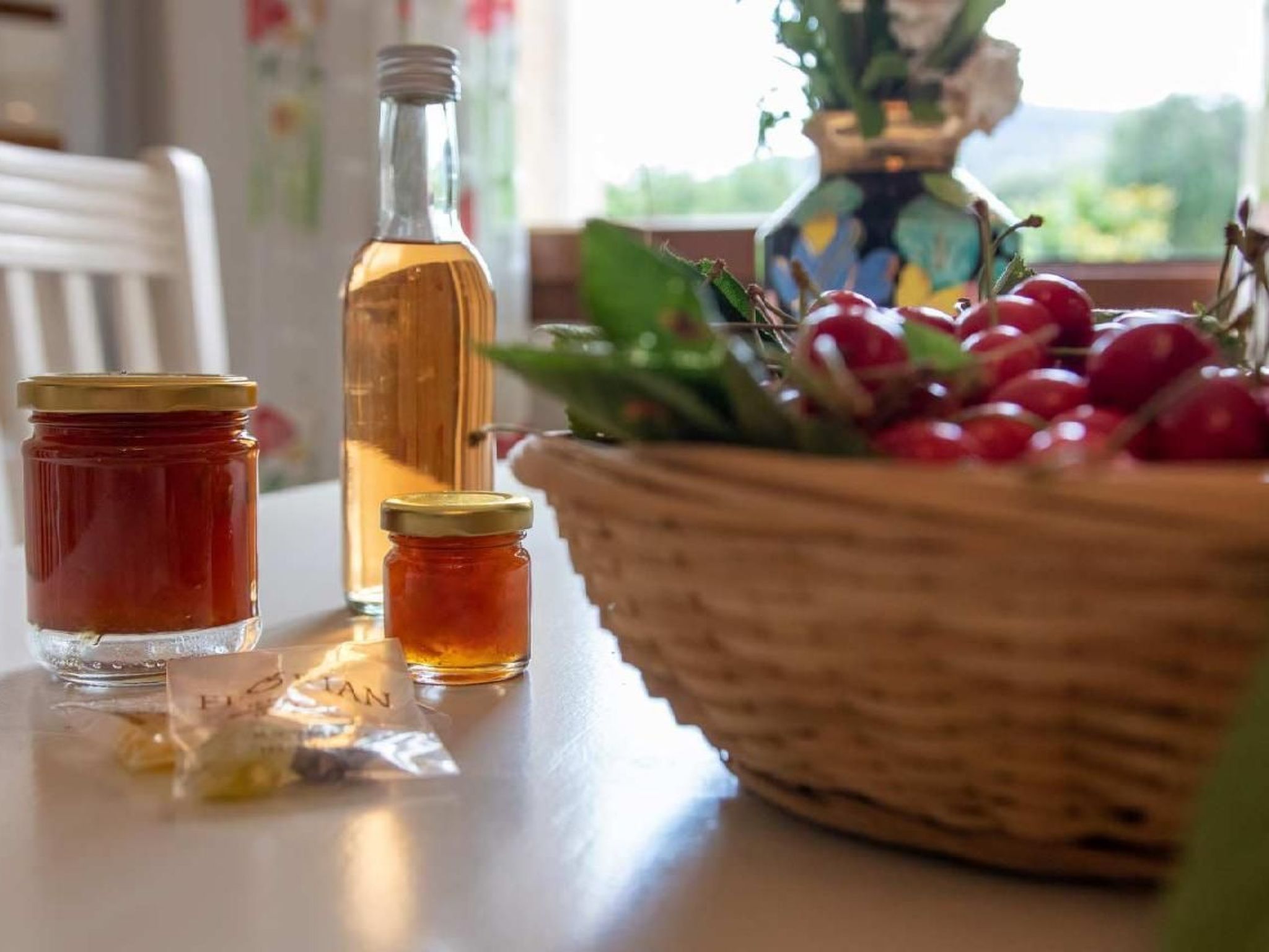 Appartement in Le Bar-Sur-Loup mit Eigenem Garten-Image-tags.info