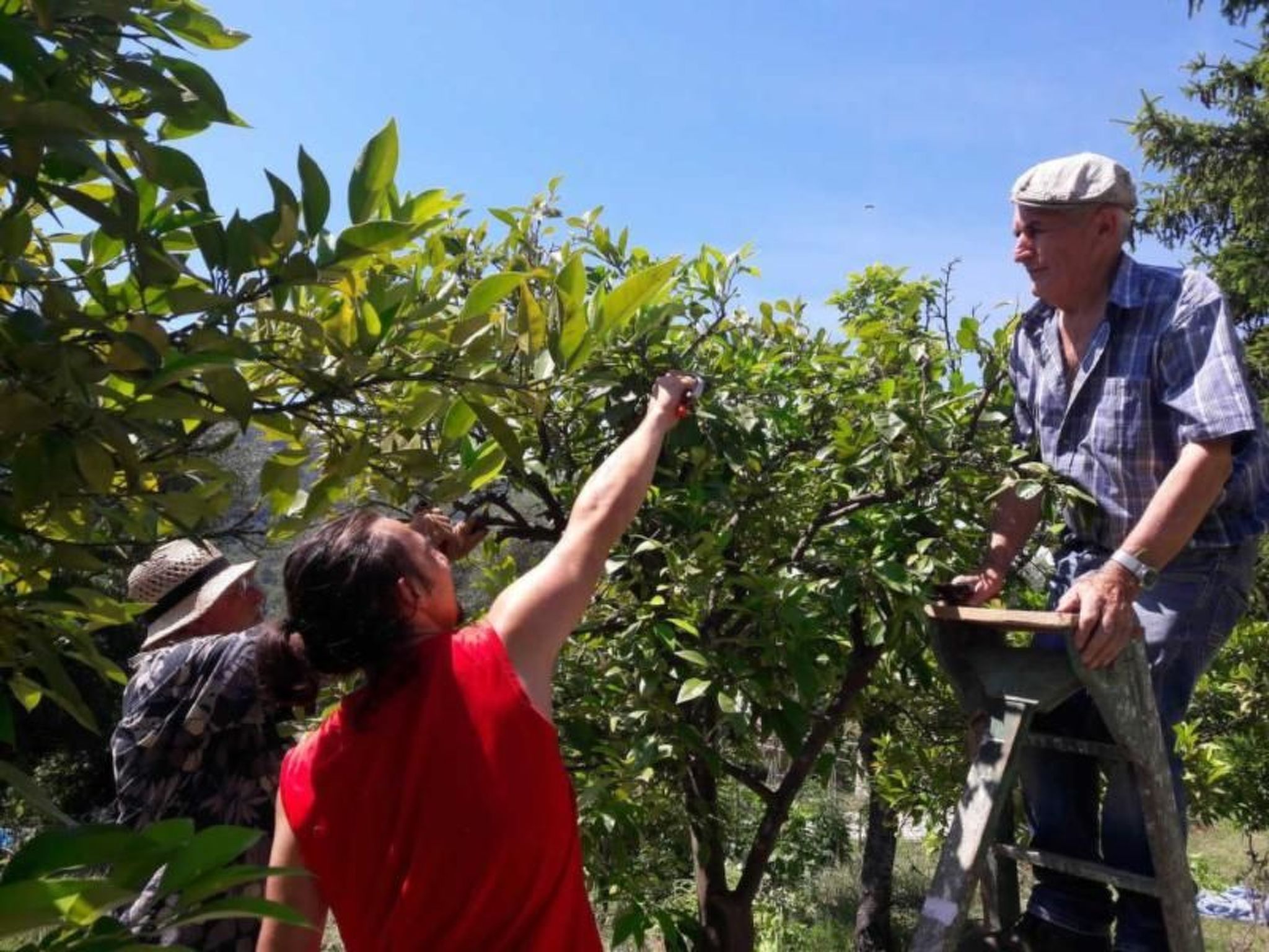 Locations-06 - la maison de noelie - Gartengeschoss-Image-tags.info