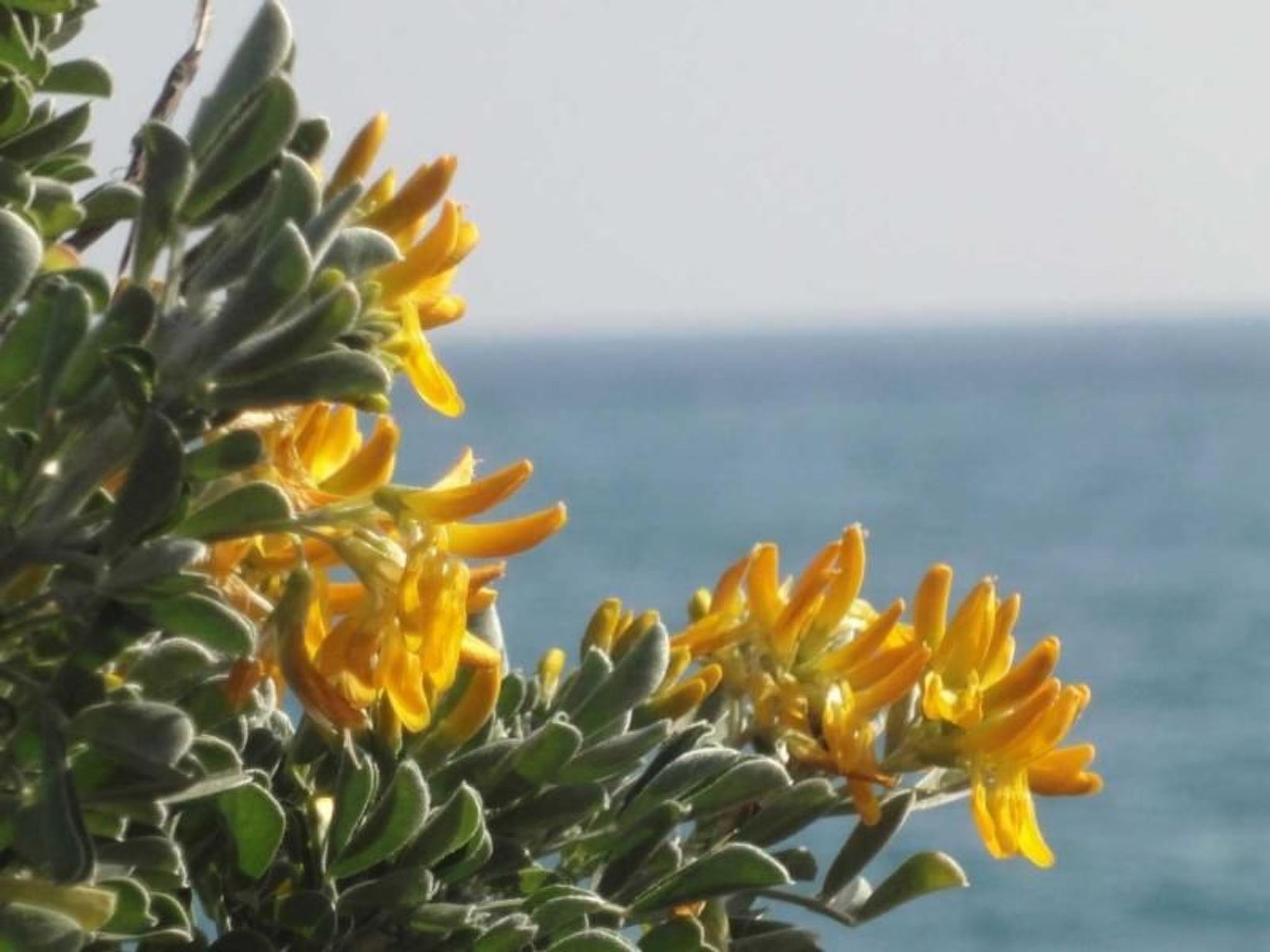 Locations-06 - la maison de noelie - Gartengeschoss-Image-tags.info