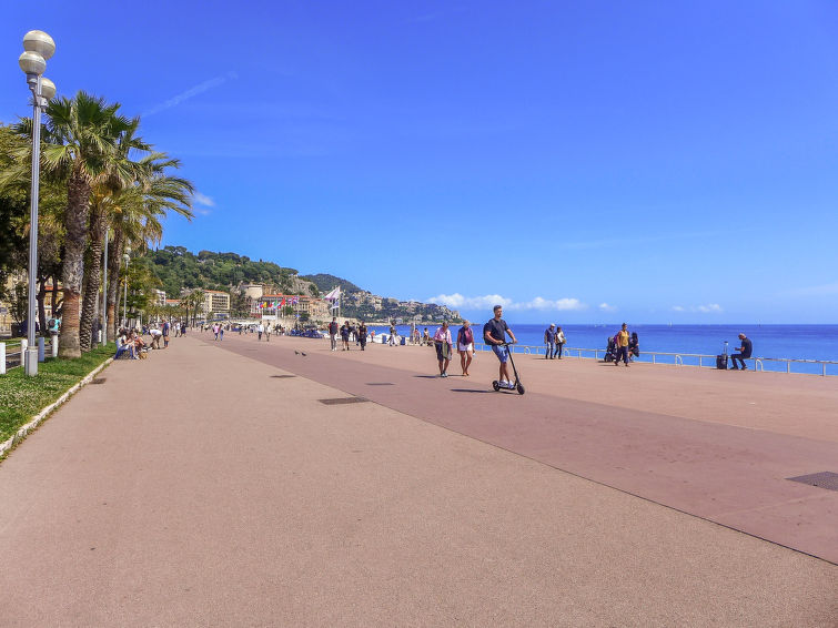 Photo of Les Yuccas Promenade des Anglais