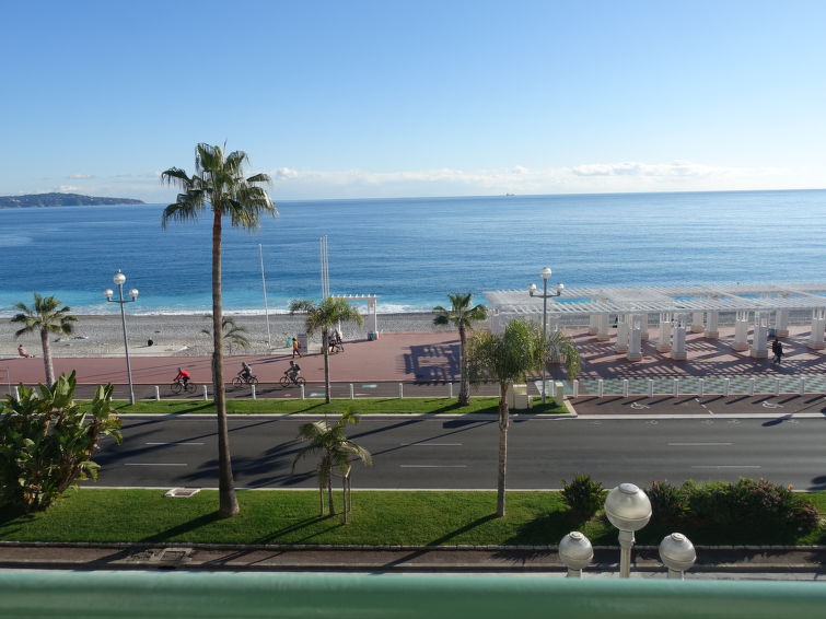 Photo of Les Yuccas Promenade des Anglais