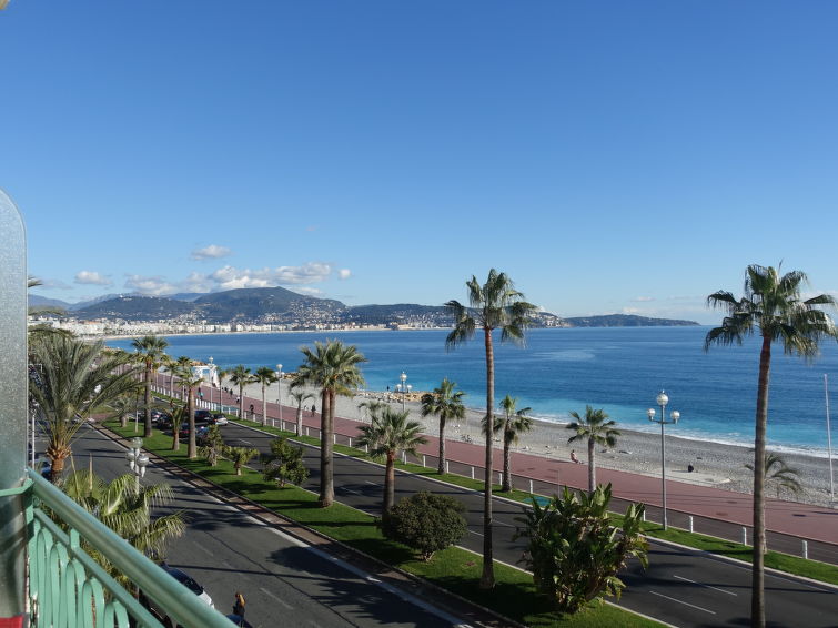 Photo of Les Yuccas Promenade des Anglais